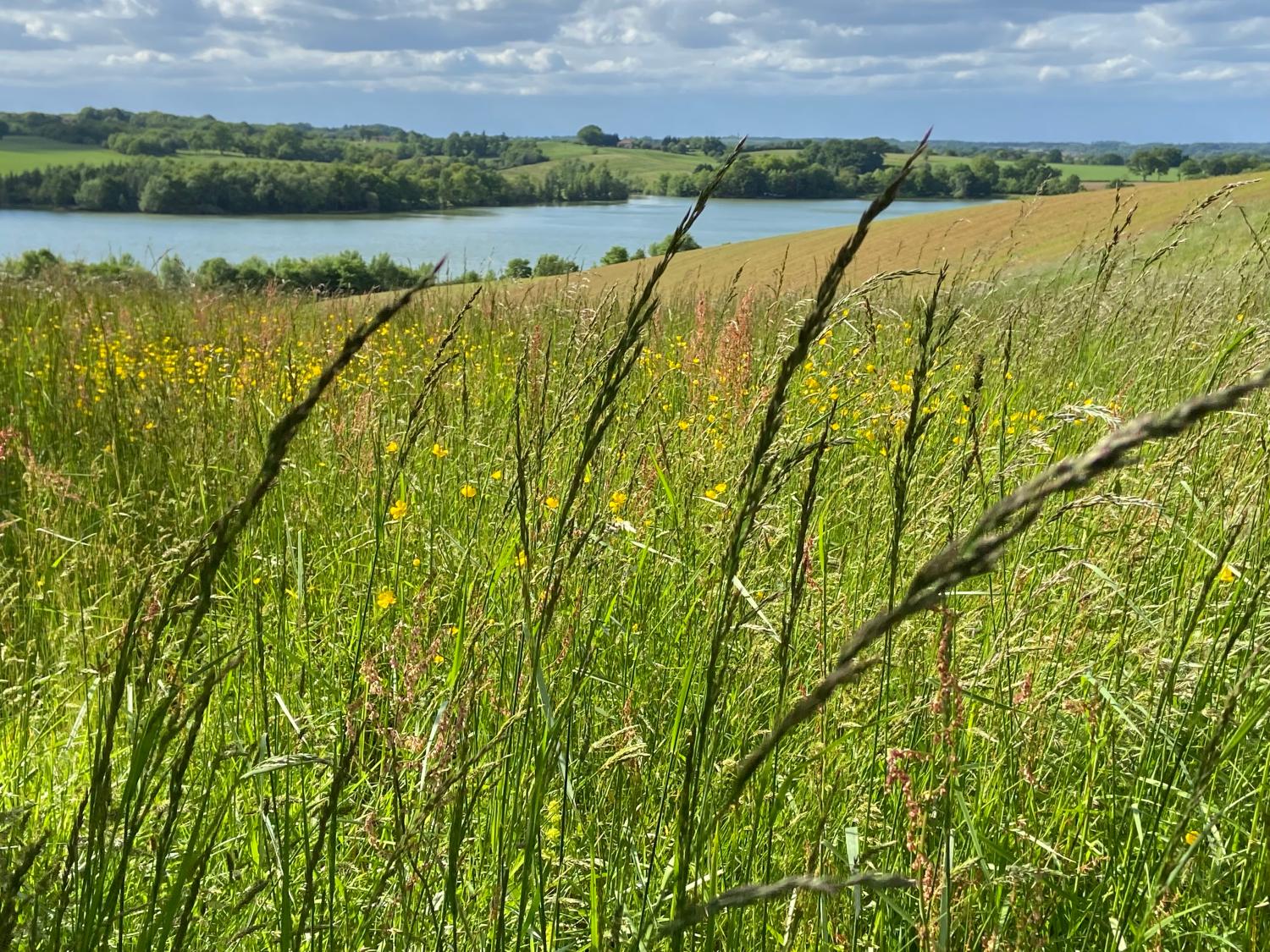  à vendre maison indépendant Castillon-Debats Gers 41