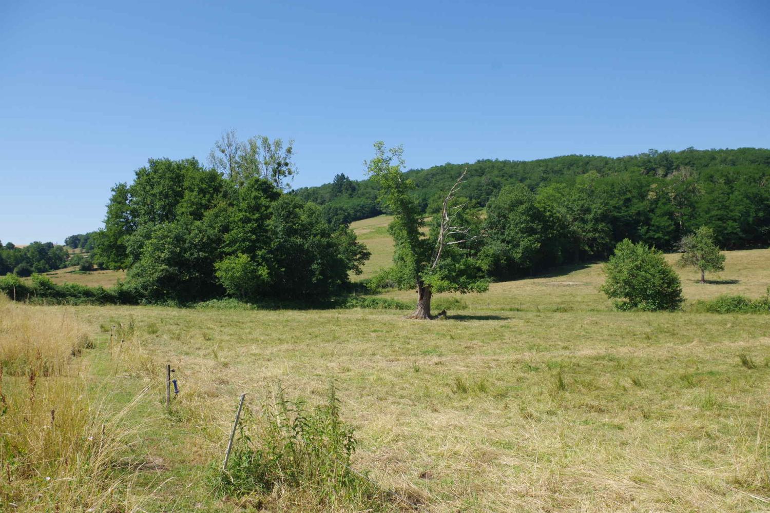  à vendre maison Onlay Nièvre 8