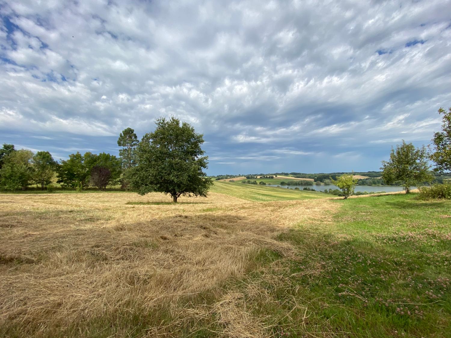  à vendre maison indépendant Castillon-Debats Gers 27