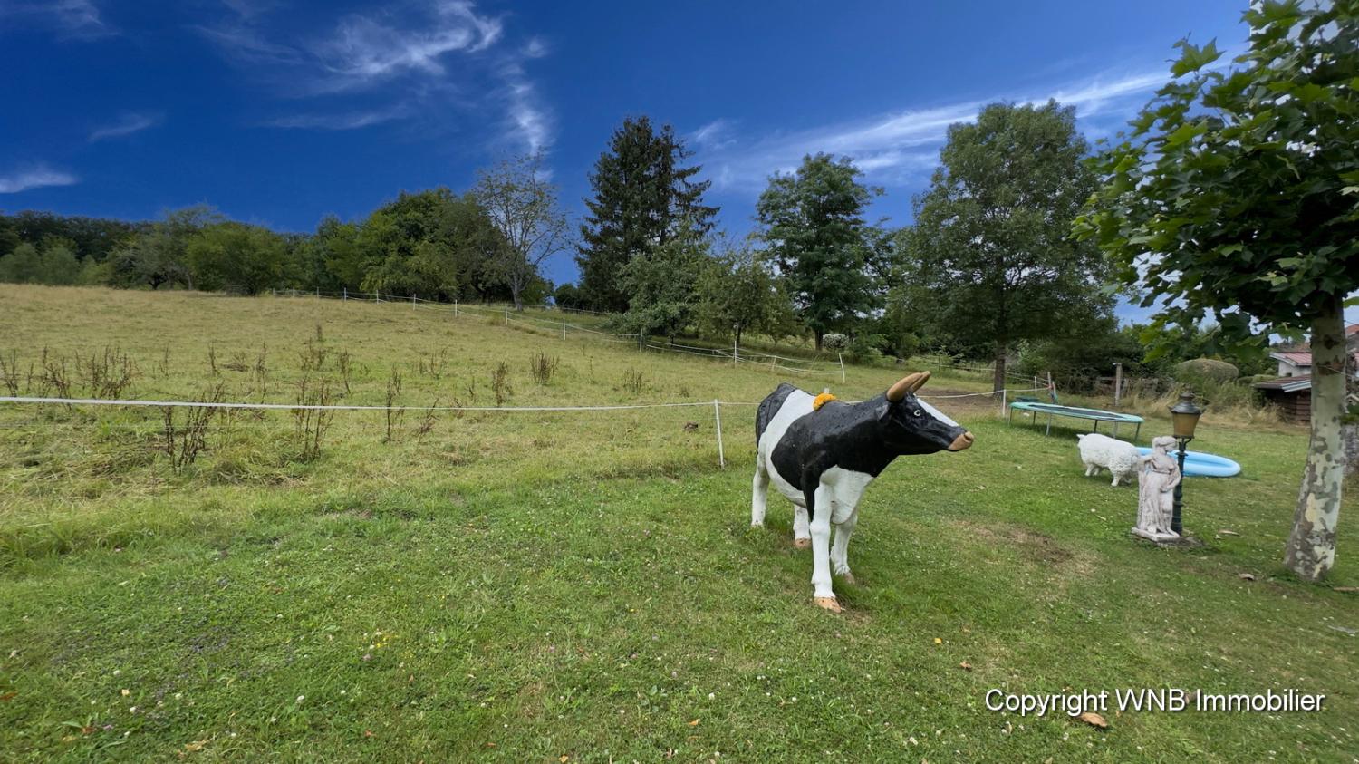  à vendre propriété Hautmougey Vosges 9