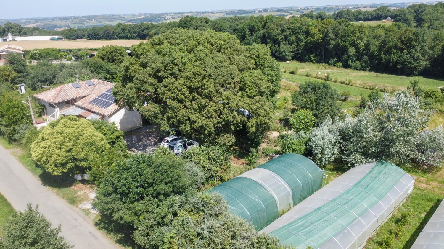  à vendre maison avec gîte Terrebasse Haute-Garonne 51