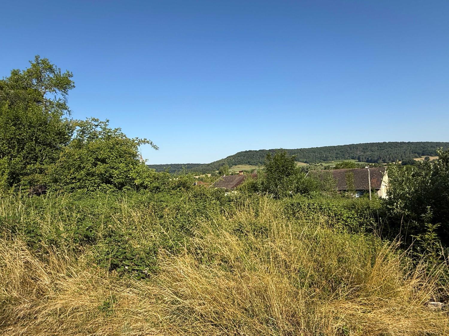  à vendre terrain Bourbonne-les-Bains Haute-Marne 9