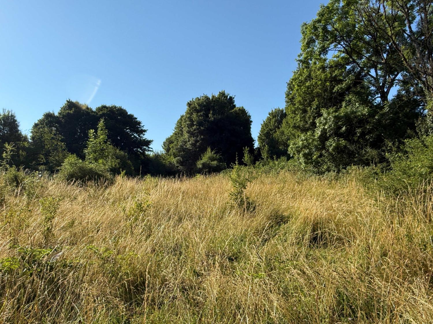  à vendre terrain Bourbonne-les-Bains Haute-Marne 7