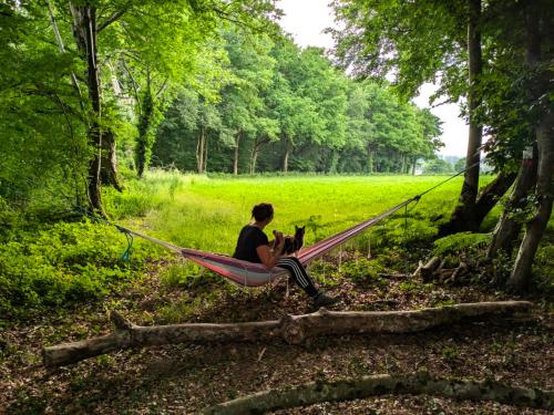  à vendre camping Saint-Palais Allier 41