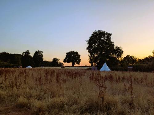  à vendre camping Saint-Palais Allier 2