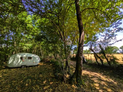  à vendre camping Saint-Palais Allier 26