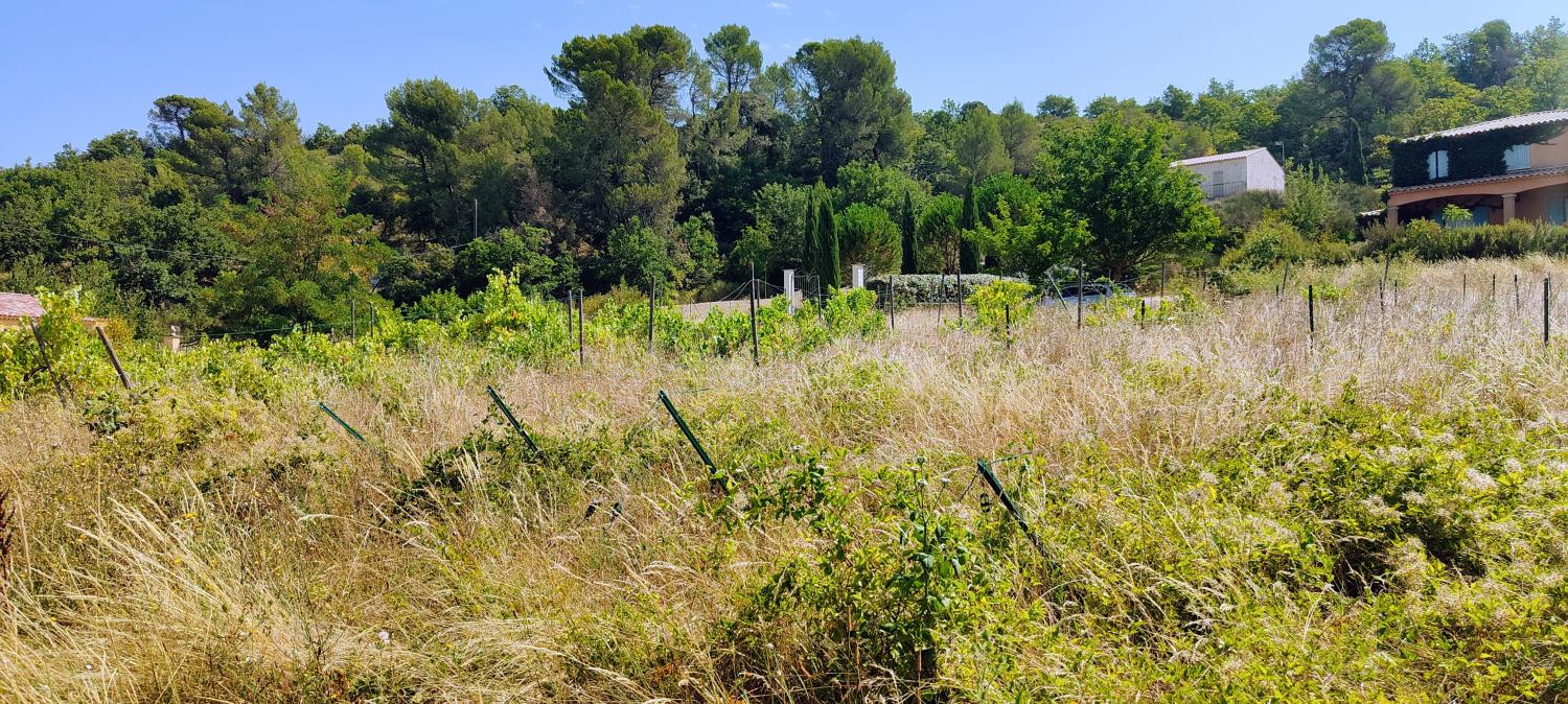  à vendre terrain Lincel Alpes-de-Haute-Provence 4