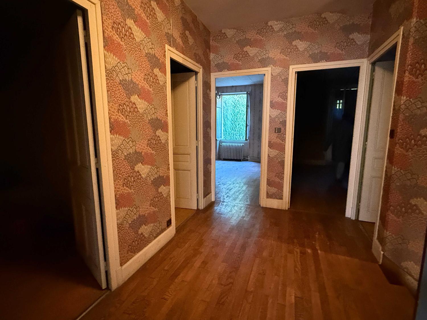  à vendre maison de village Bourbonne-les-Bains Haute-Marne 3