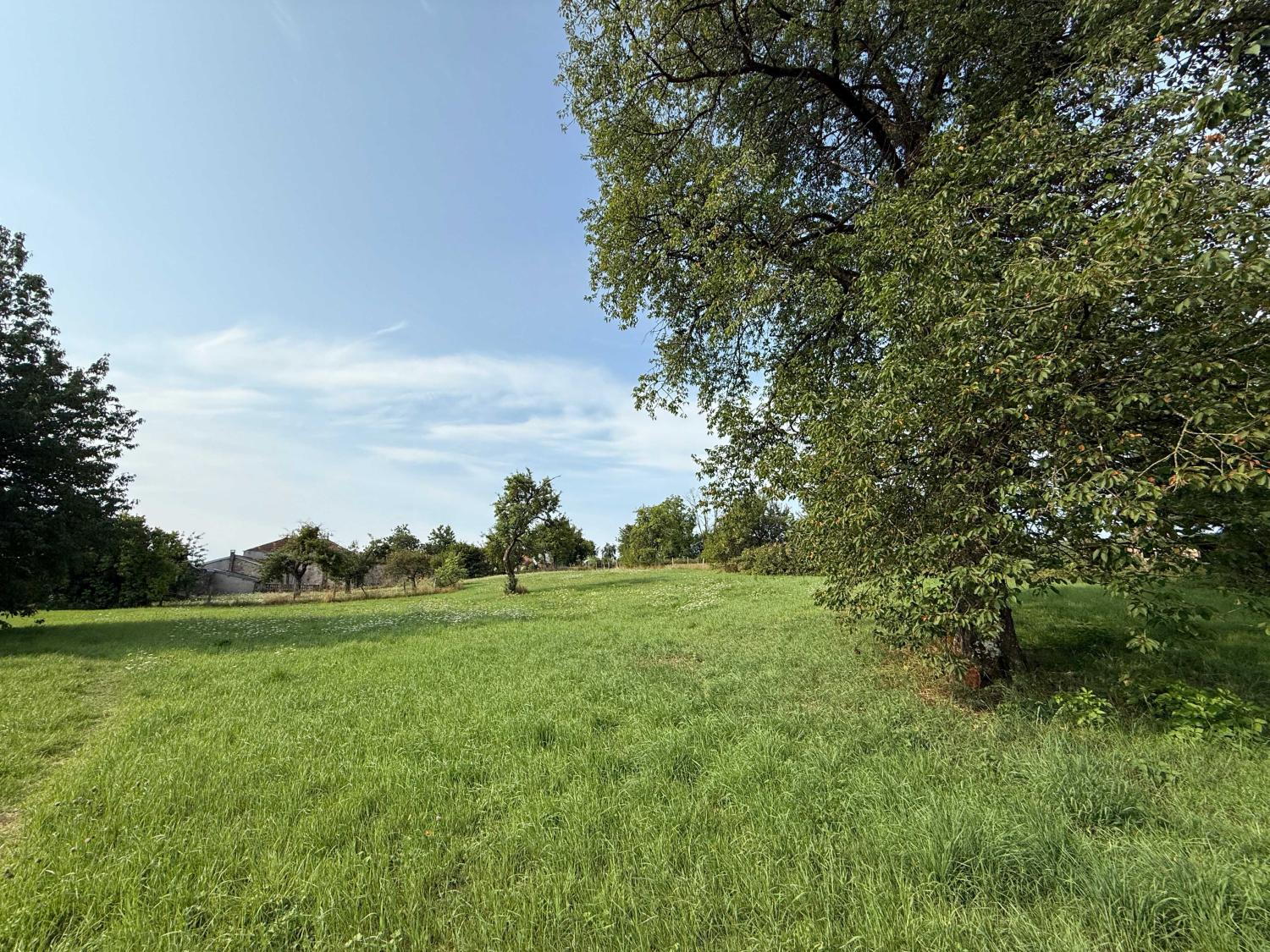  à vendre ferme de village Châtillon-sur-Saône Vosges 25