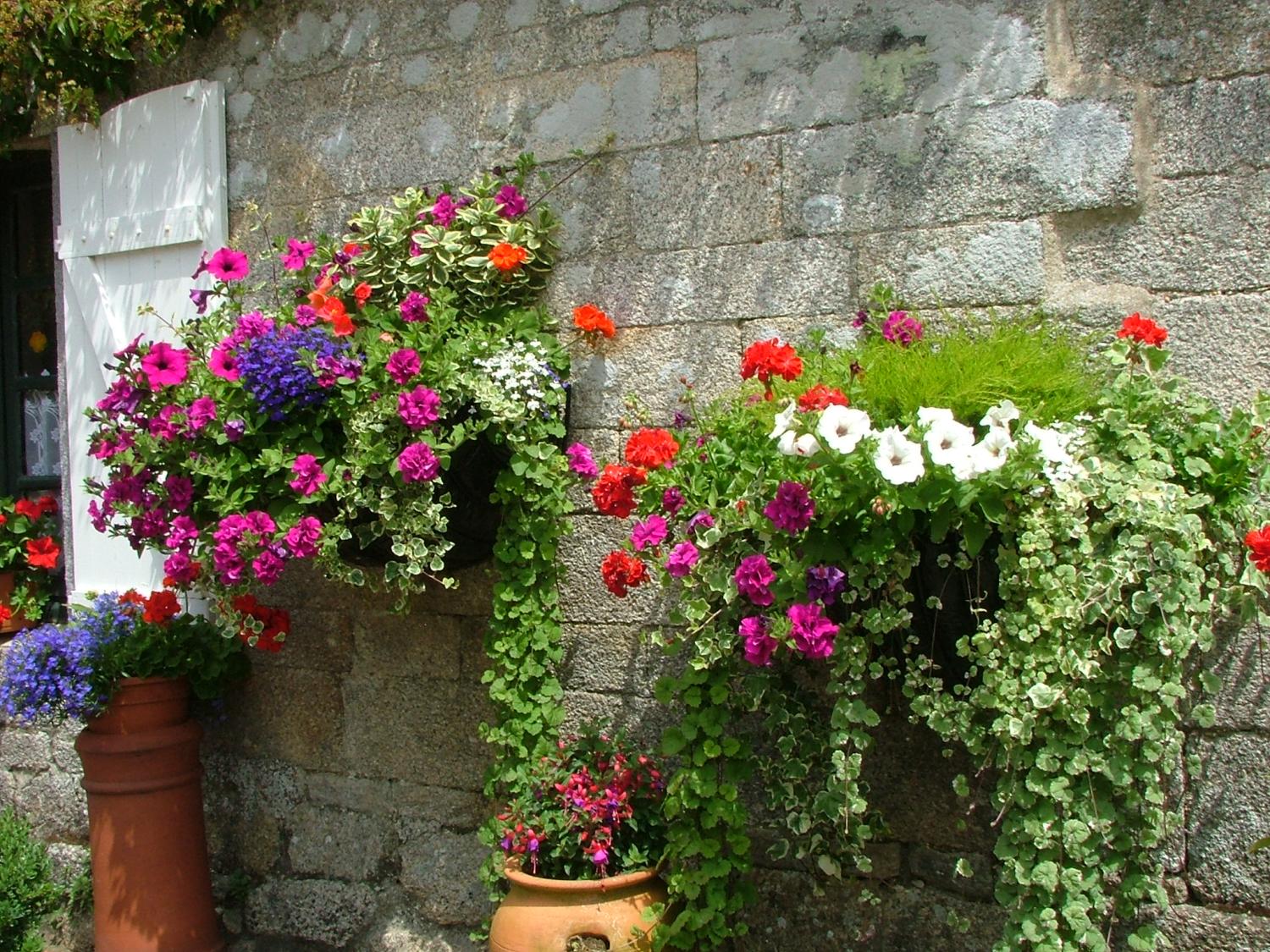  à vendre propriété Pontivy Morbihan 34