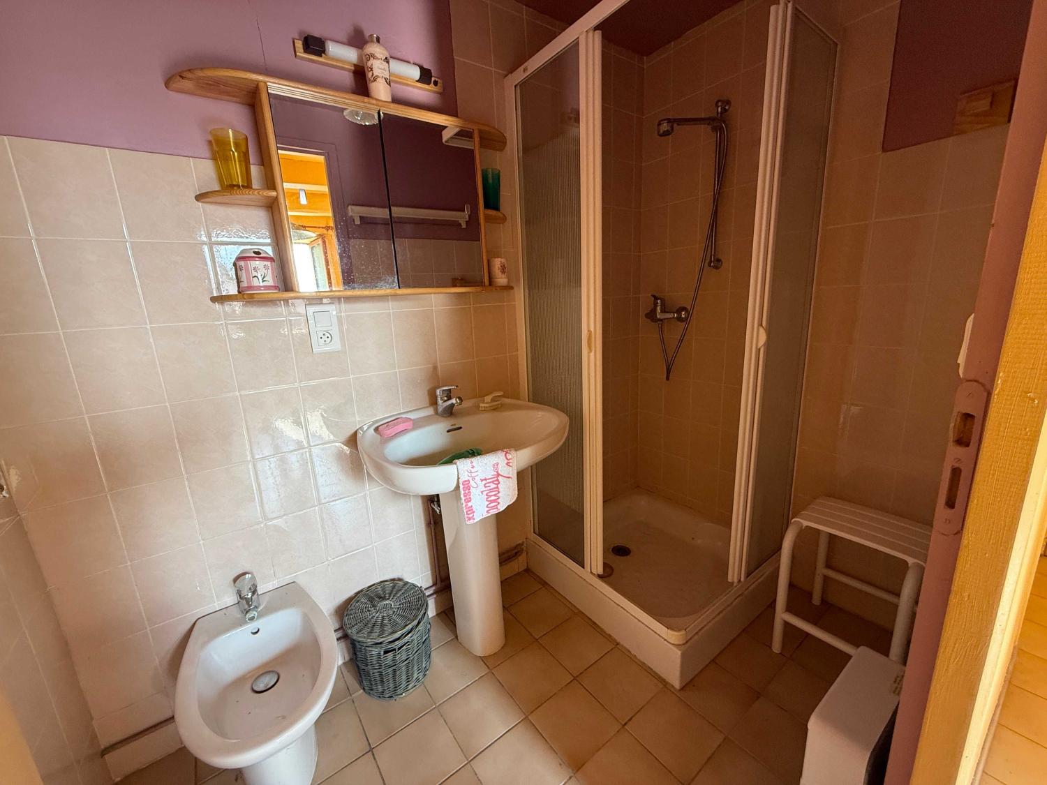  à vendre ferme de village Châtillon-sur-Saône Vosges 10