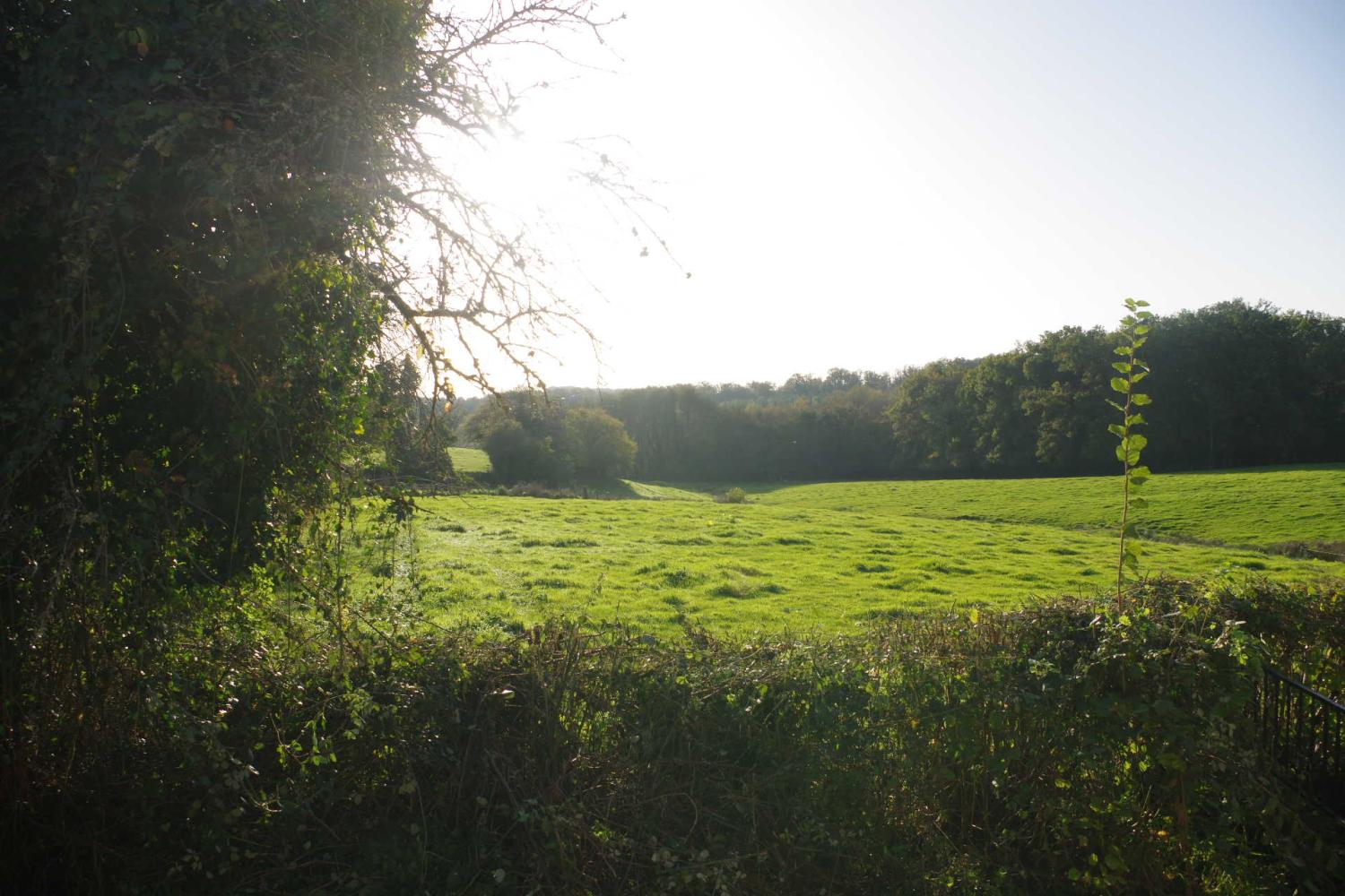  à vendre maison Sermages Nièvre 5