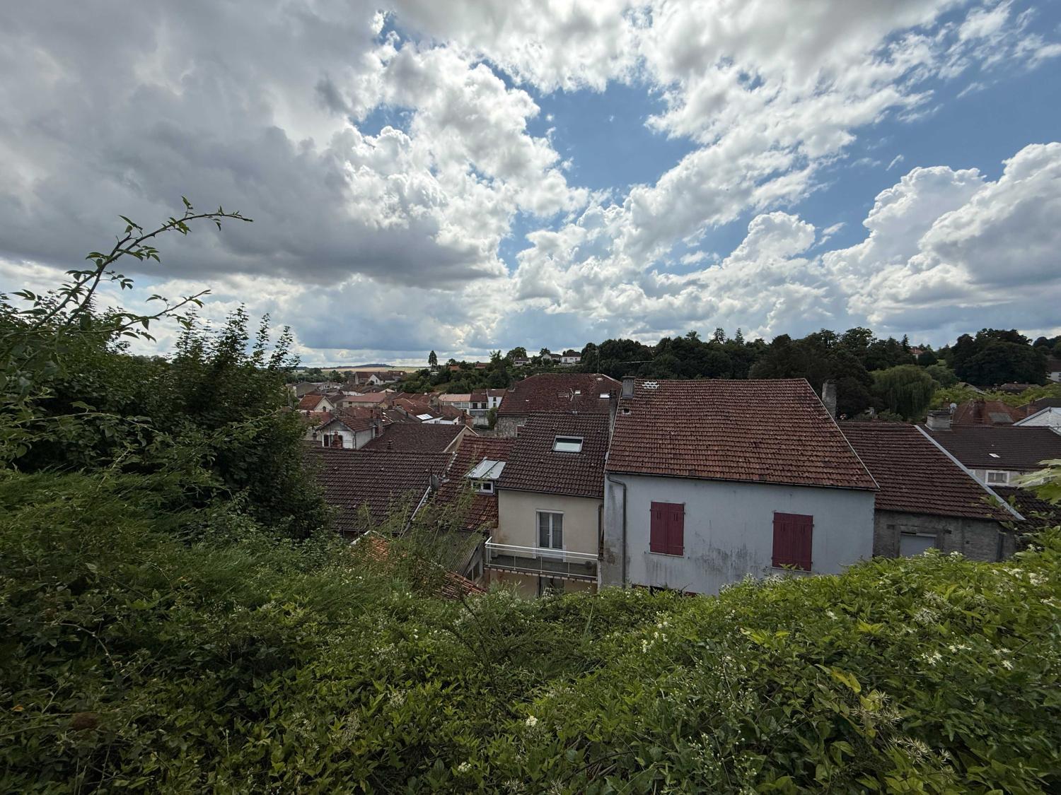  à vendre maison de village Bourbonne-les-Bains Haute-Marne 21