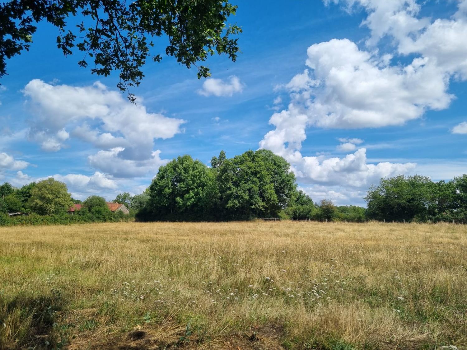  à vendre maison Jouac Haute-Vienne 11