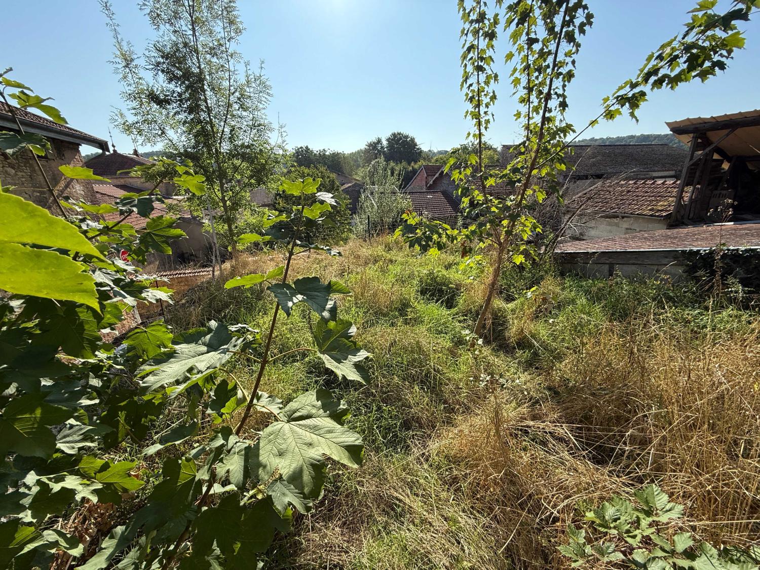  à vendre maison de village Doulevant-le-Château Haute-Marne 23