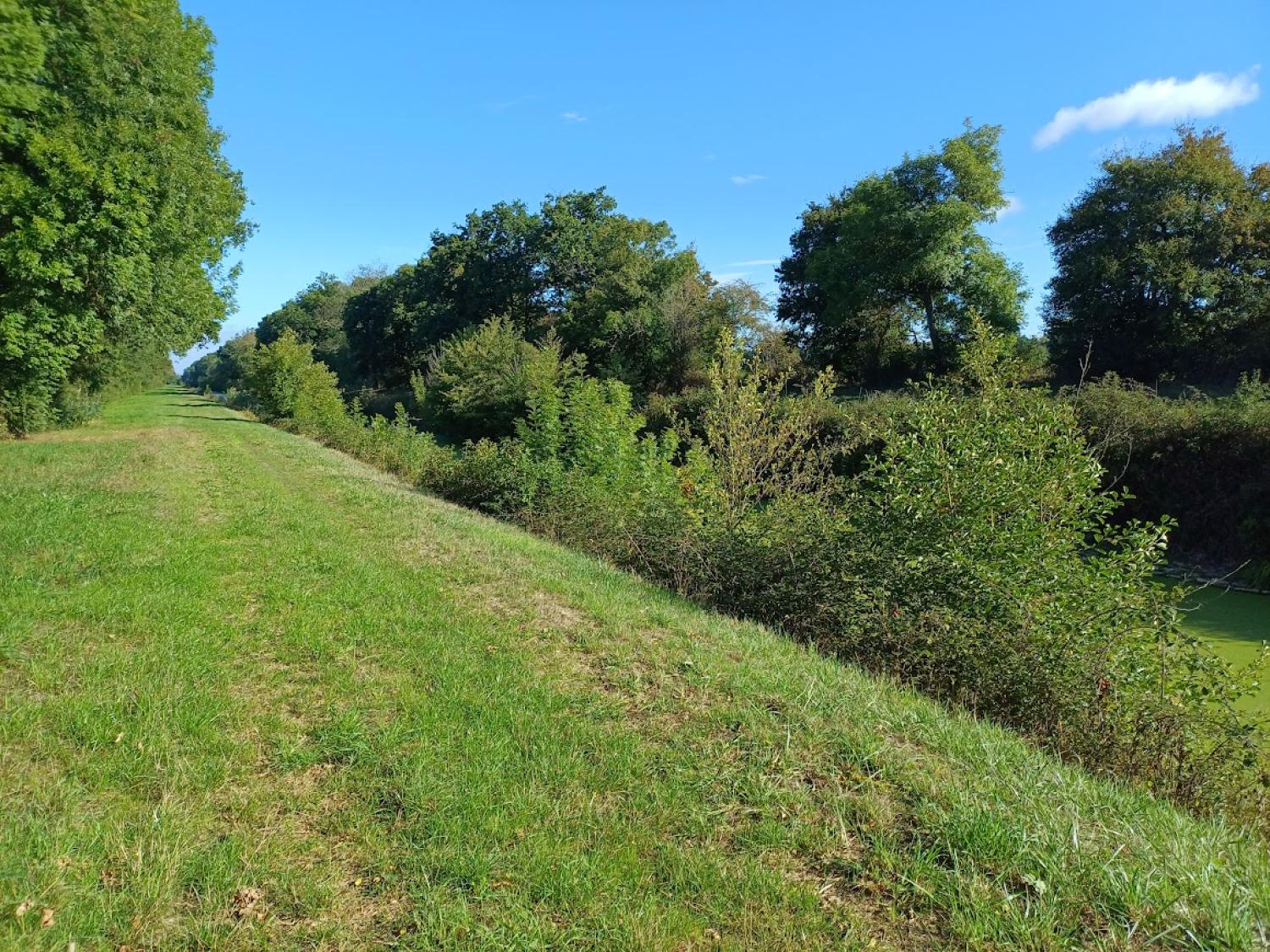  à vendre maison Épineuil-le-Fleuriel Cher 9