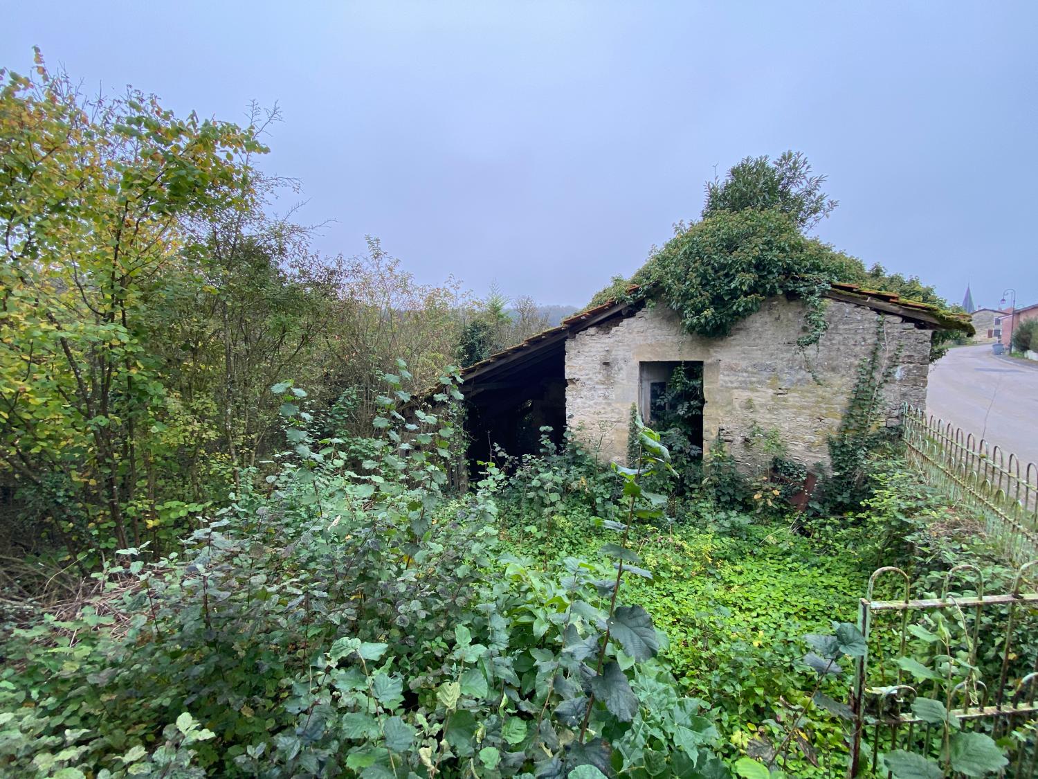  à vendre maison de village Donjeux Haute-Marne 4