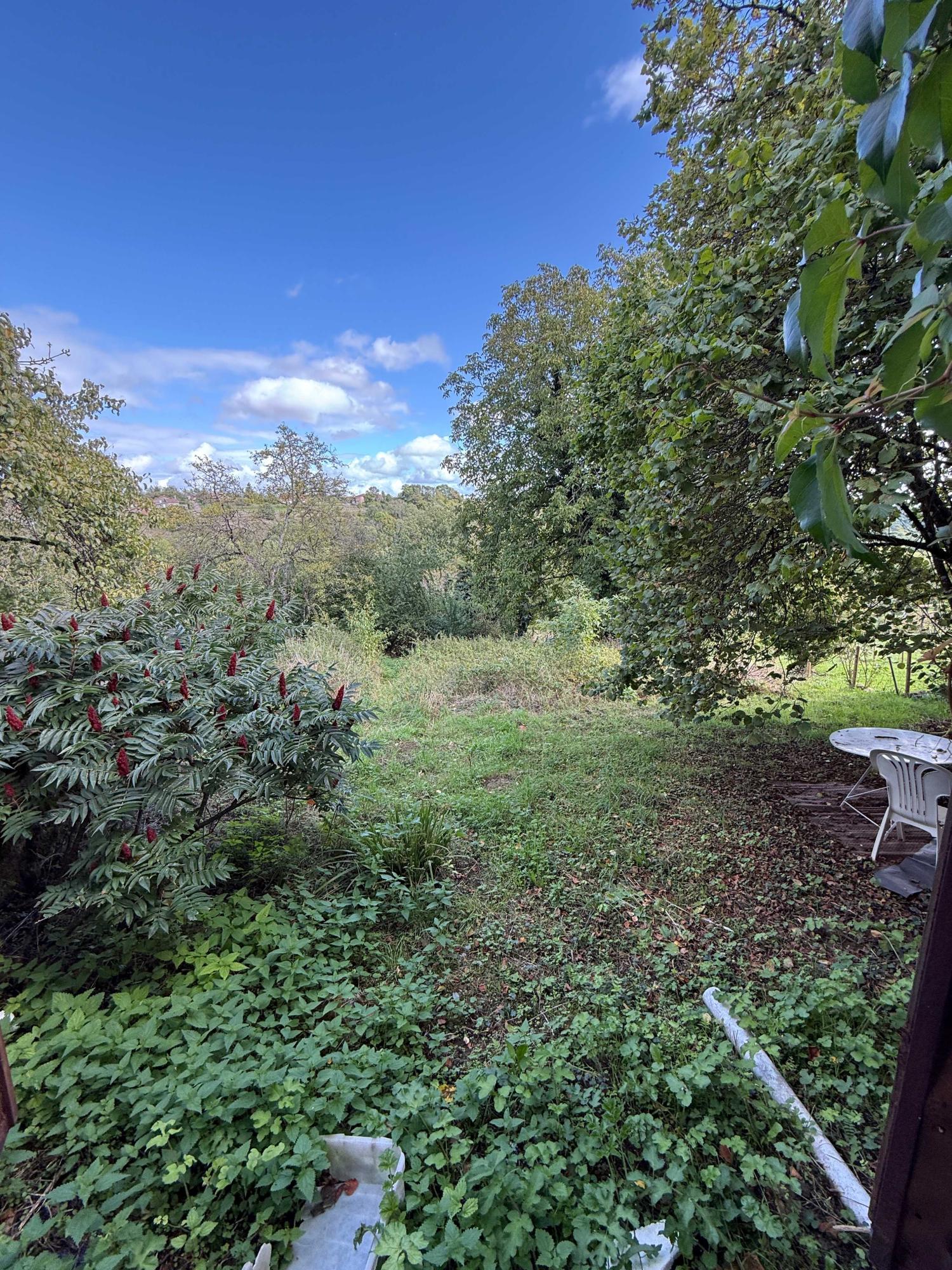  à vendre ferme de village Damrémont Haute-Marne 7