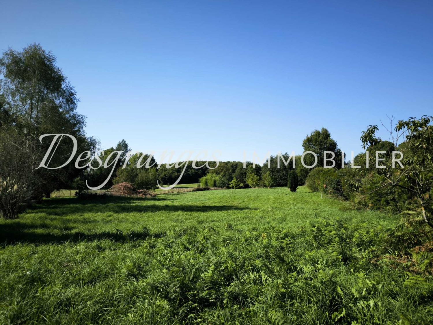  à vendre terrain à bâtir Payzac Dordogne 1