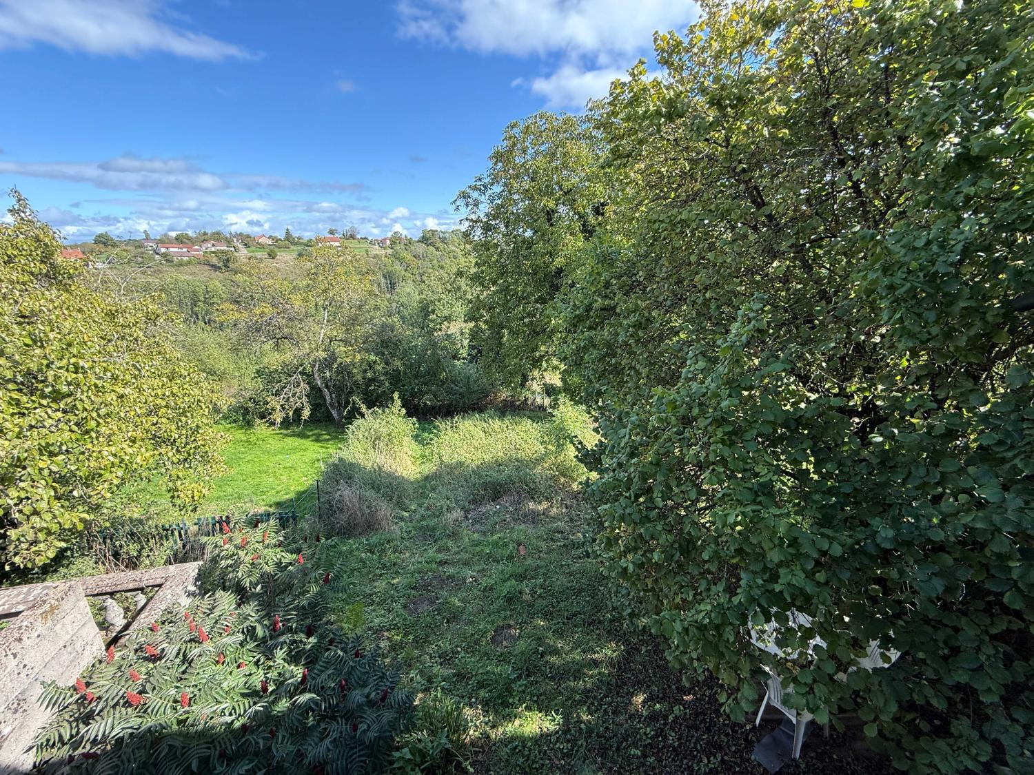  à vendre ferme de village Damrémont Haute-Marne 5