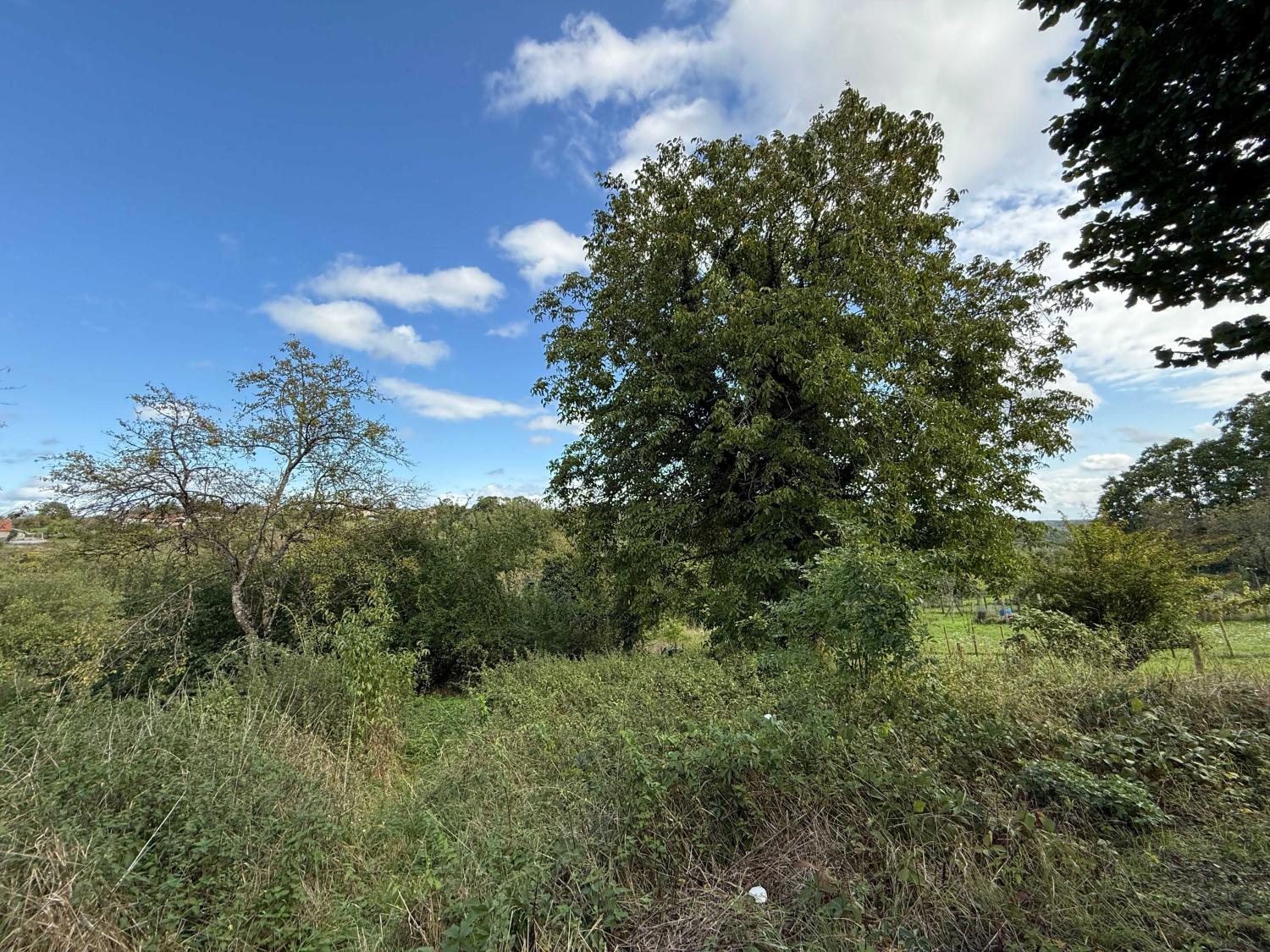  à vendre ferme de village Damrémont Haute-Marne 23