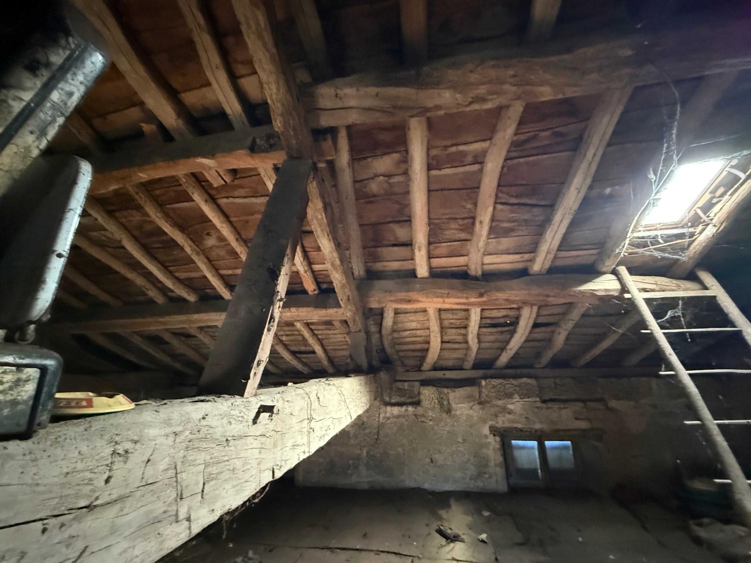  à vendre maison bourgeoise Châtillon-sur-Saône Vosges 40