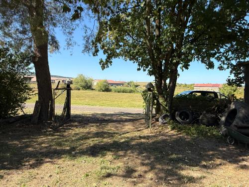  à vendre maison bourgeoise Châtillon-sur-Saône Vosges 44