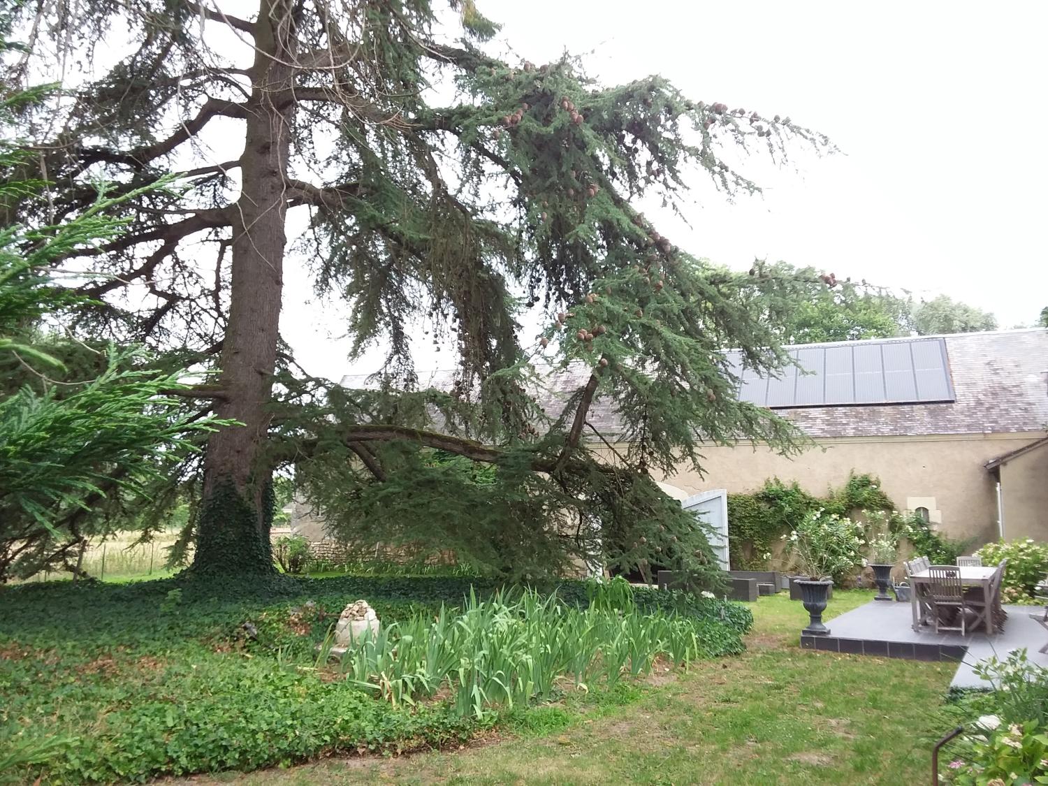  à vendre gîtes/ chambres d'hôtes Couddes Loir-et-Cher 7