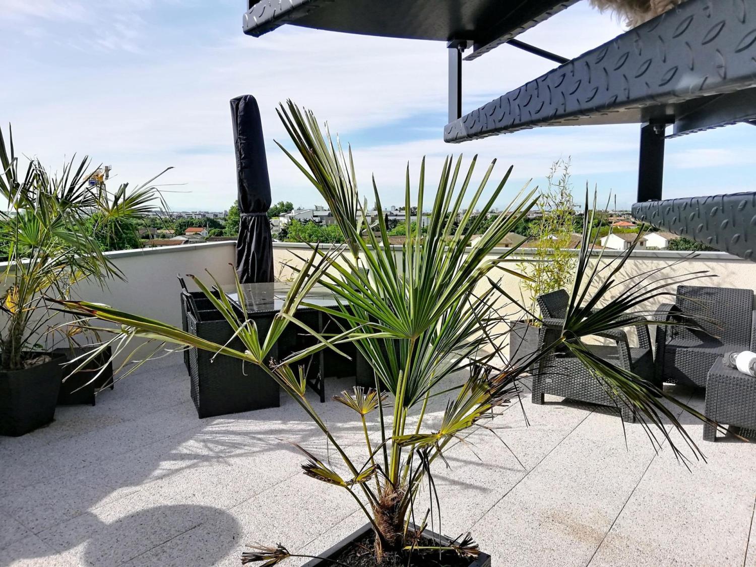 à vendre appartement Toulouse 31200 Haute-Garonne 3