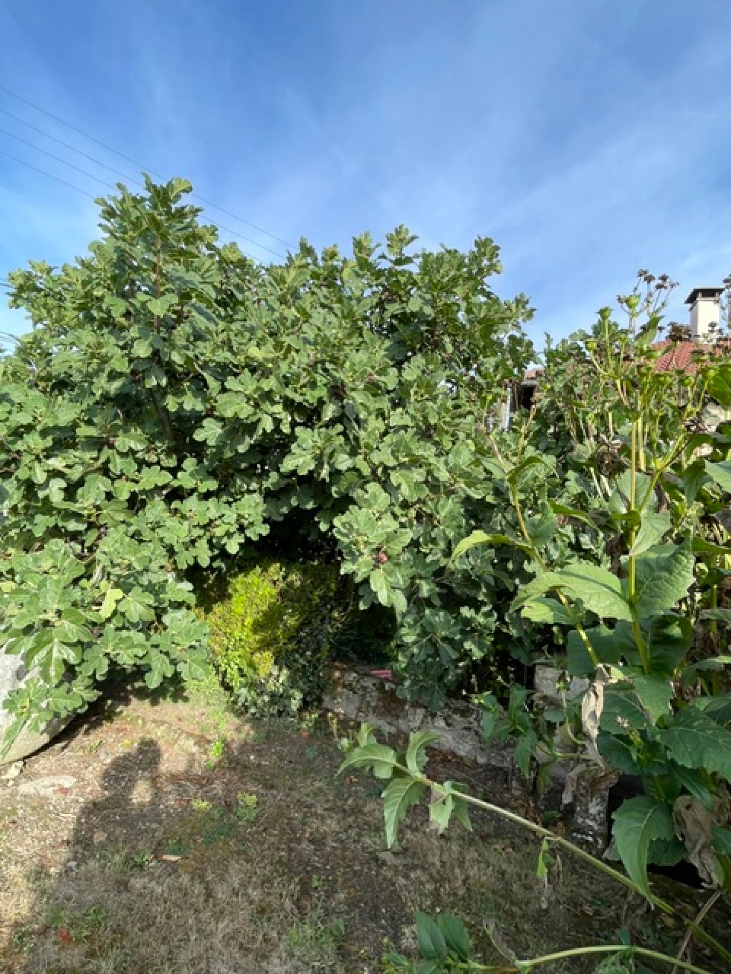  à vendre maison avec gîte Vez Oise 15