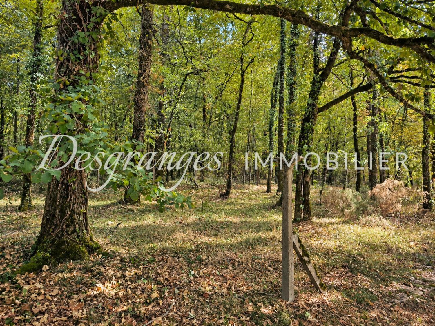  à vendre maison Excideuil Dordogne 18