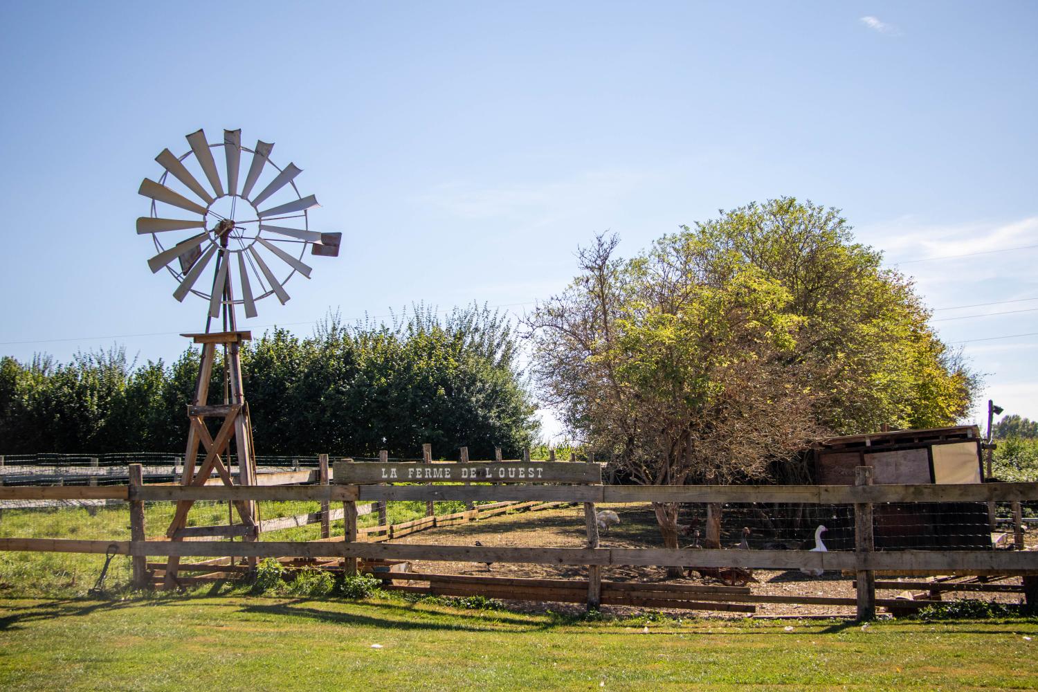  à vendre maison indépendant Ballon Sarthe 11