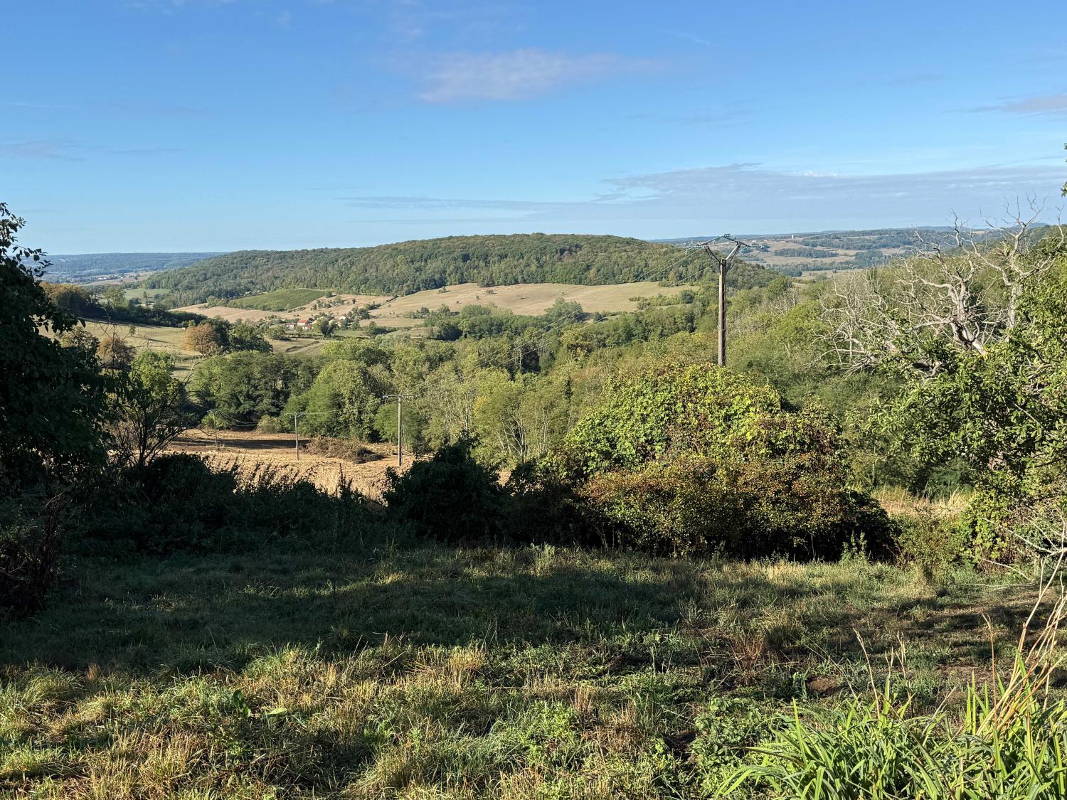  à vendre maison de village Bourbonne-les-Bains Haute-Marne 31