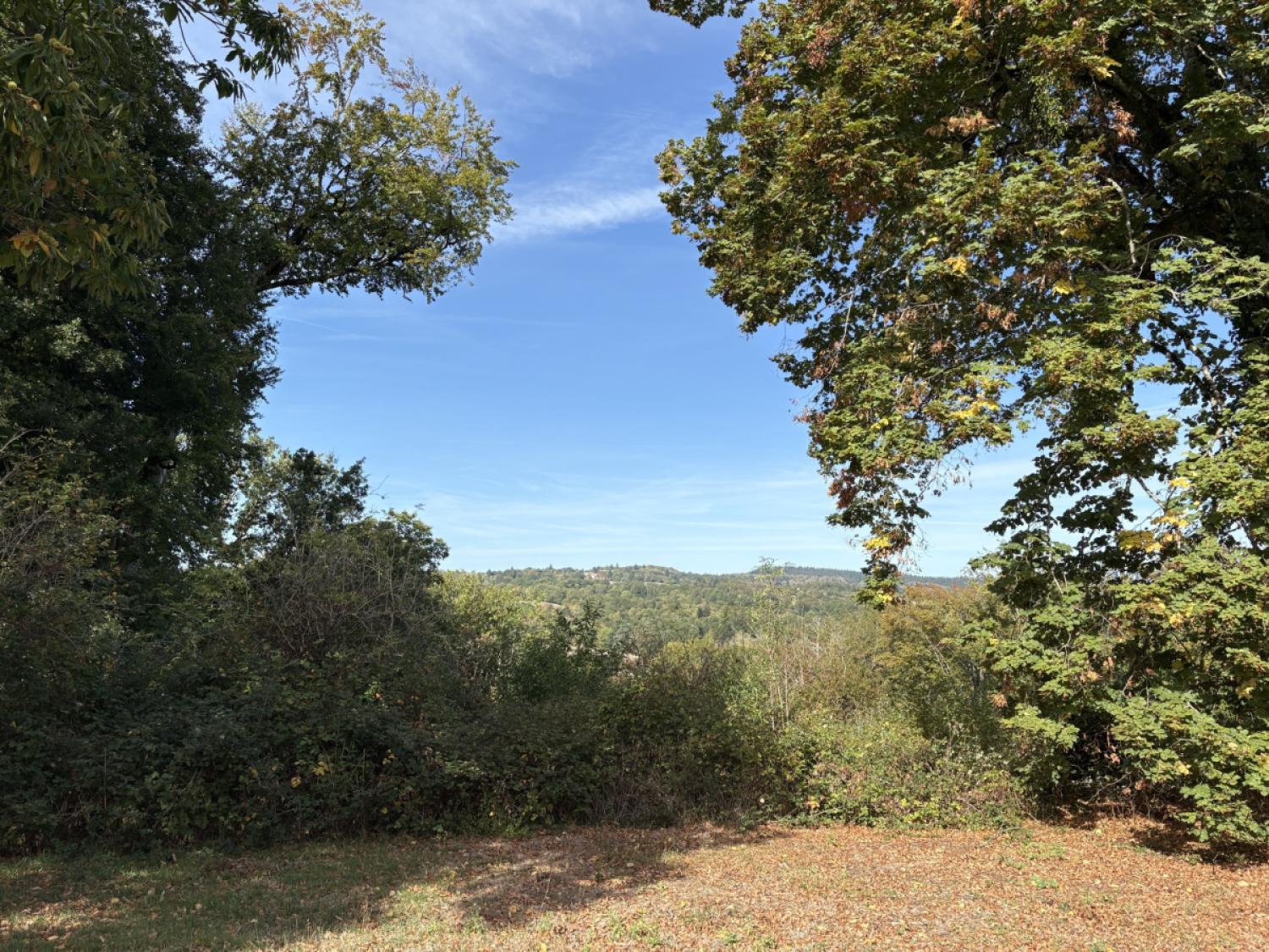  à vendre maison avec gîte Meuzac Haute-Vienne 5