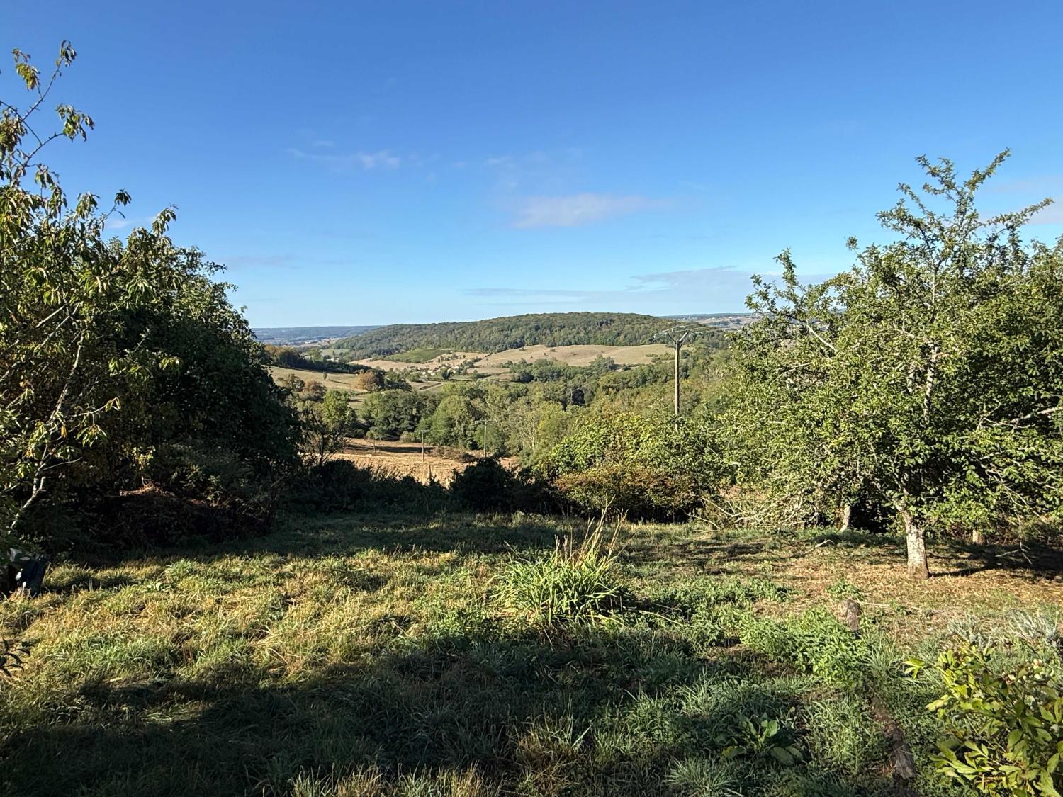  à vendre maison de village Bourbonne-les-Bains Haute-Marne 30