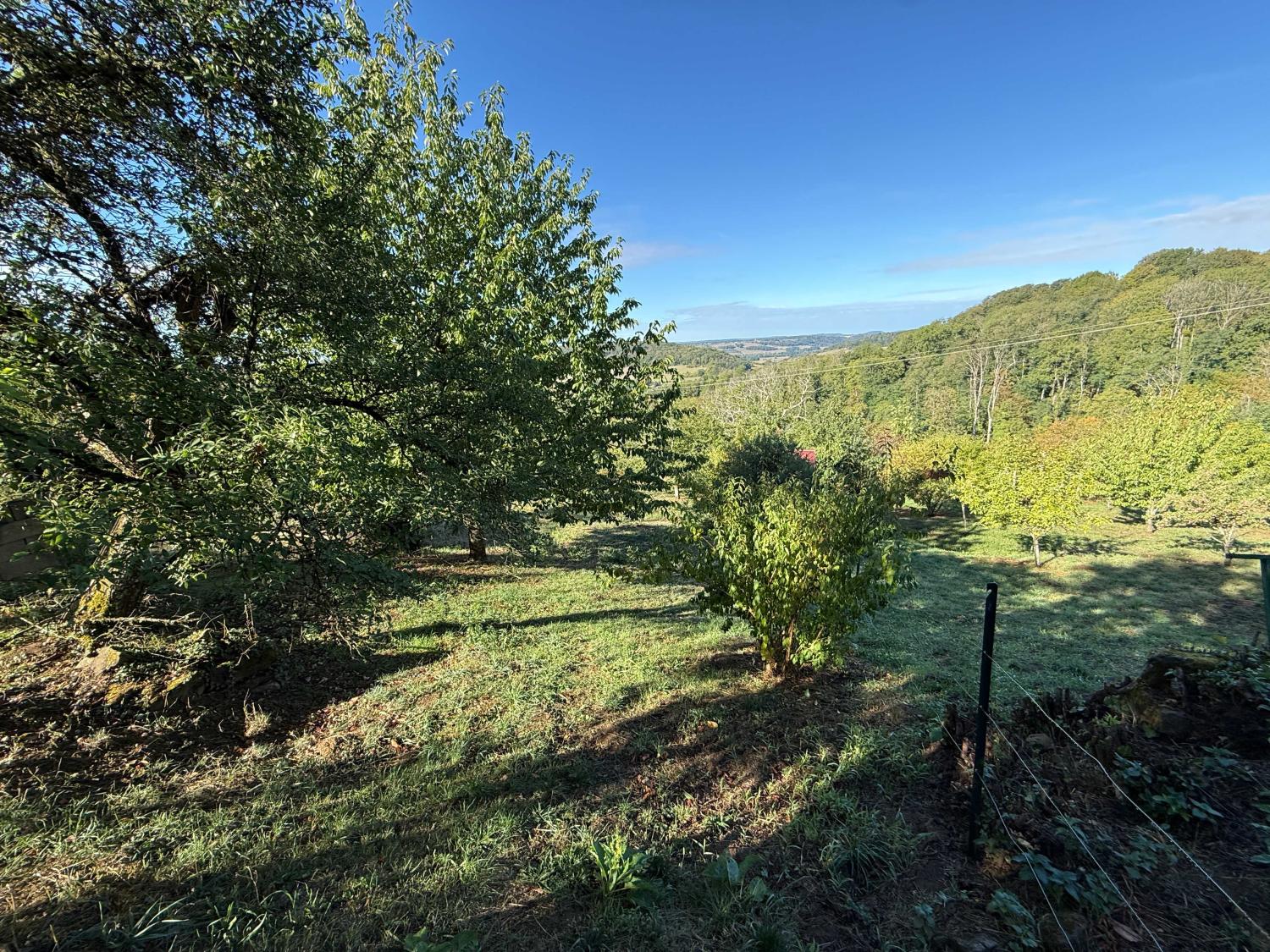  à vendre maison de village Bourbonne-les-Bains Haute-Marne 29