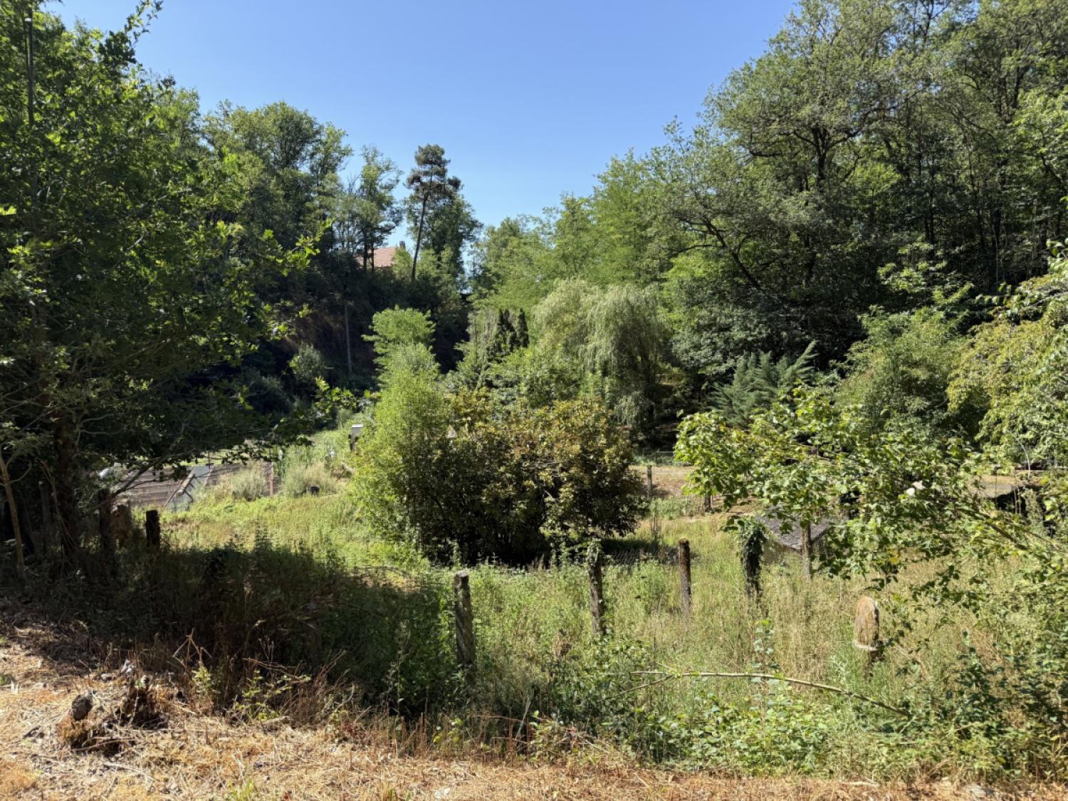  à vendre maison indépendant Vignols Corrèze 10