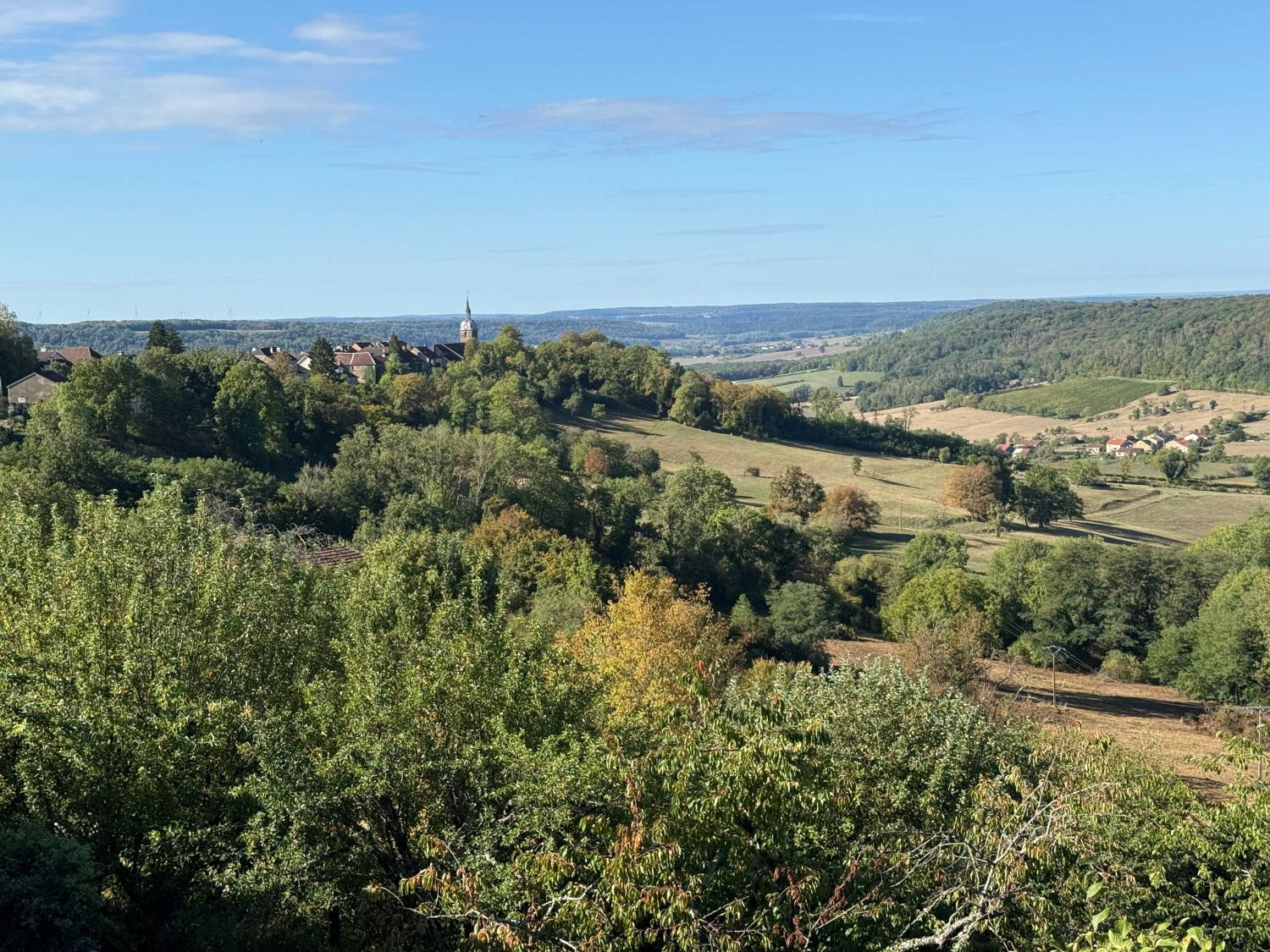  à vendre maison de village Bourbonne-les-Bains Haute-Marne 19