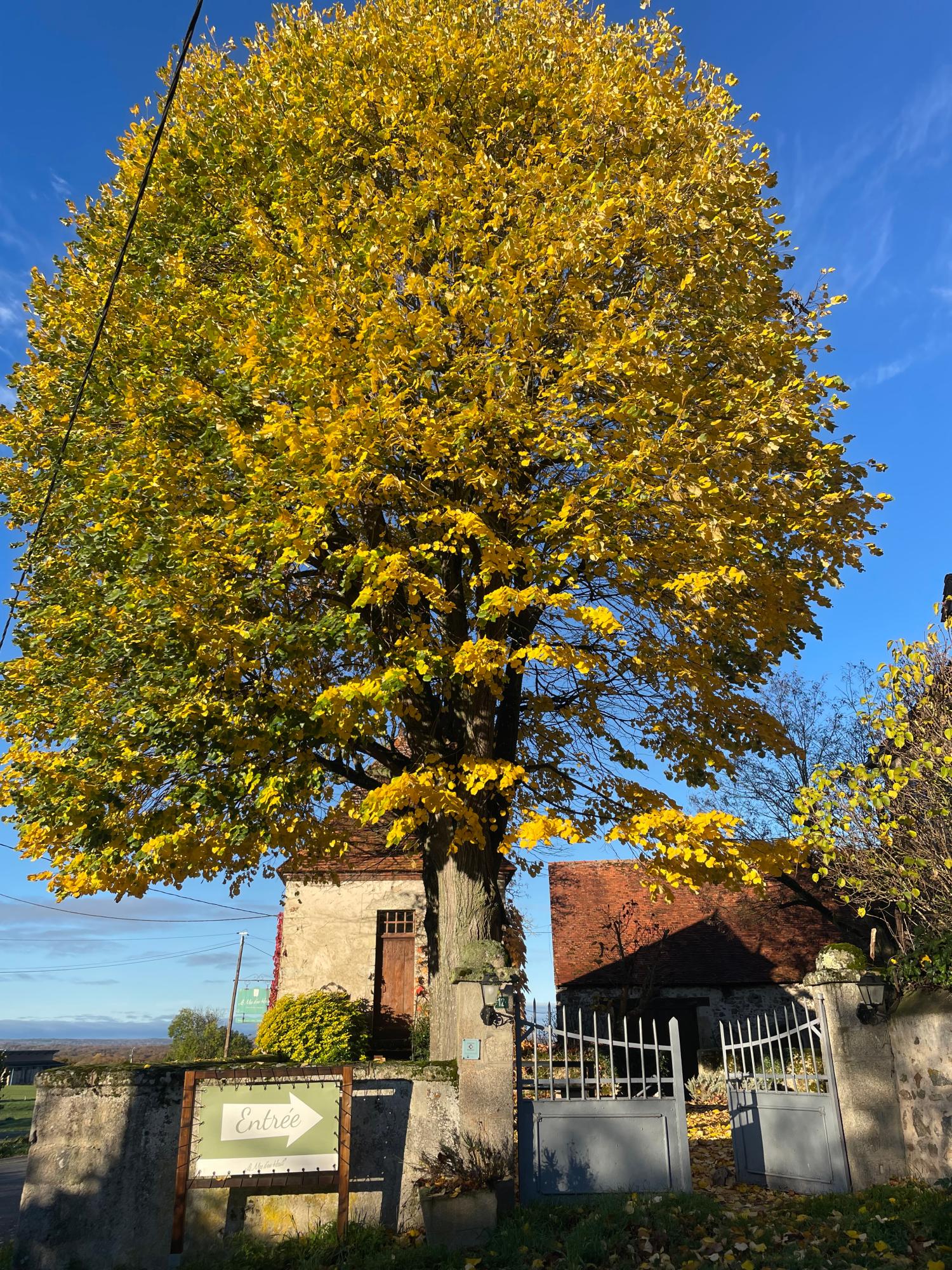  à vendre camping Lussat Creuse 27