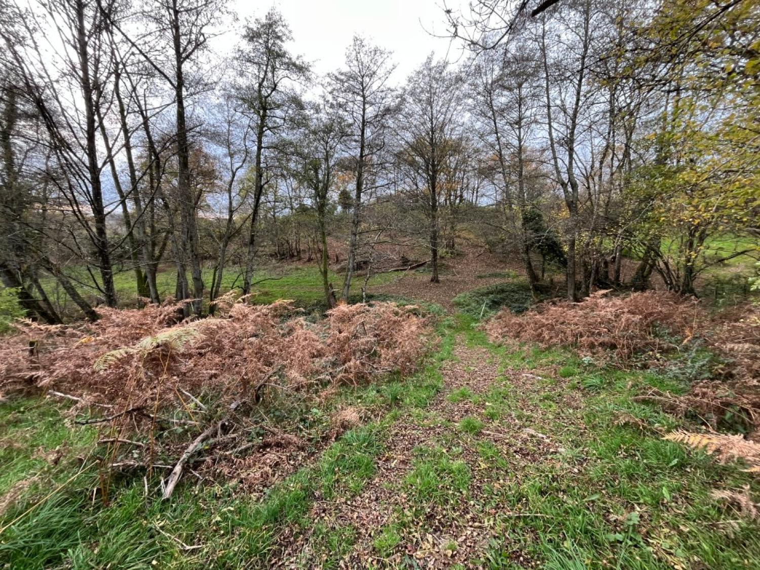  à vendre maison avec gîte Saint-Hilaire-en-Morvan Nièvre 22