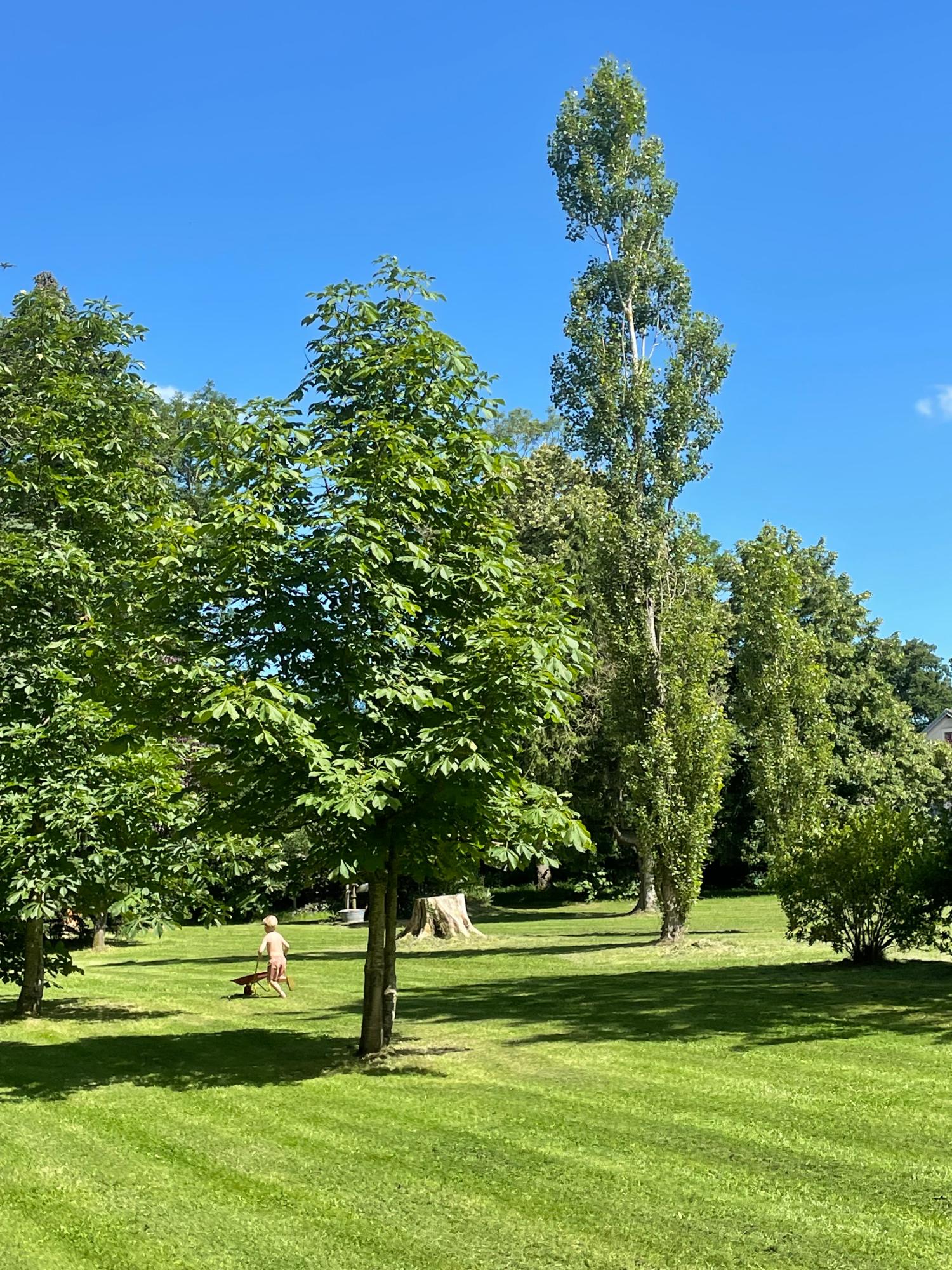  à vendre camping Lussat Creuse 4