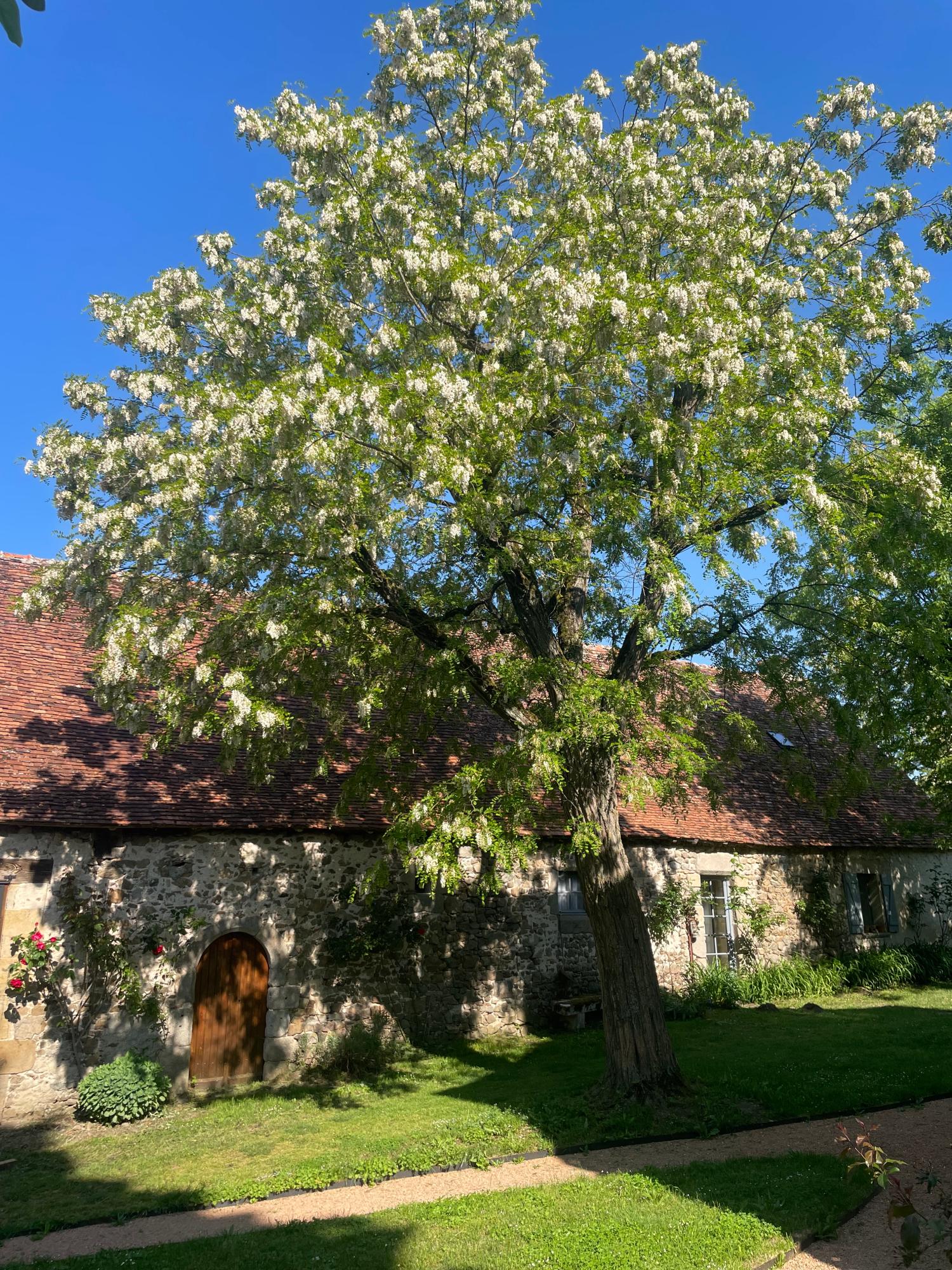  à vendre camping Lussat Creuse 29