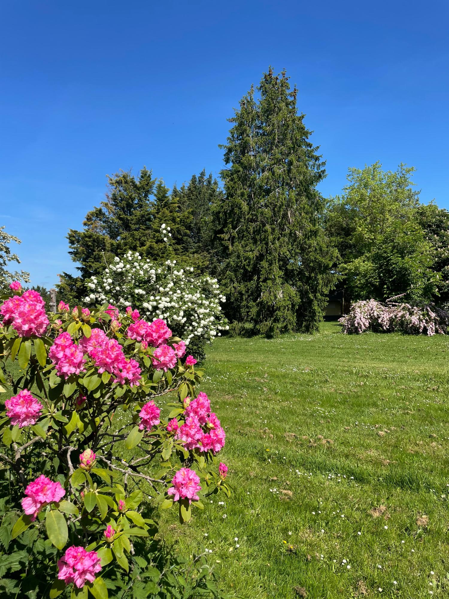  à vendre camping Lussat Creuse 41