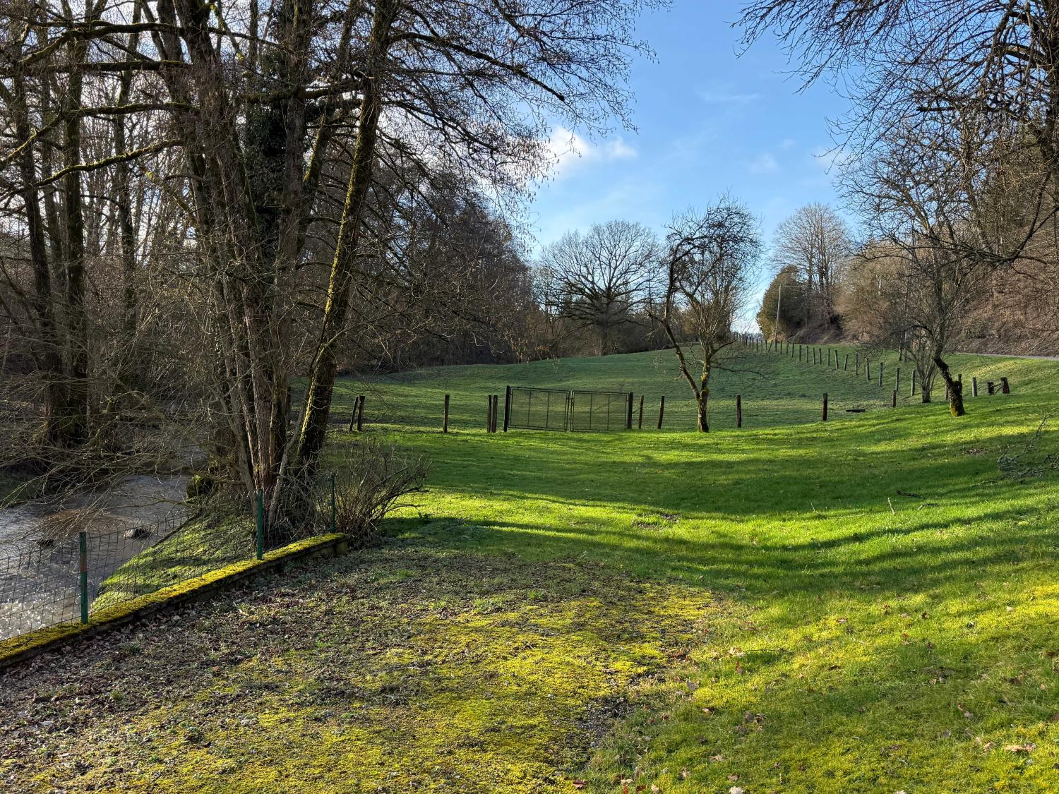  à vendre gîtes/ chambres d'hôtes Viviers-le-Gras Vosges 6
