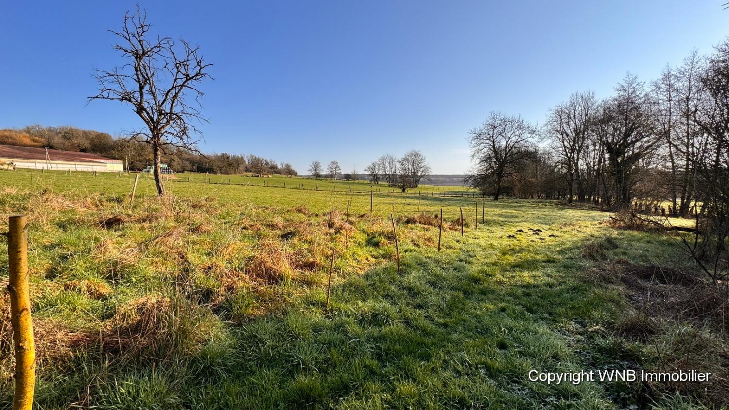 à vendre ferme de village Serécourt Vosges 6