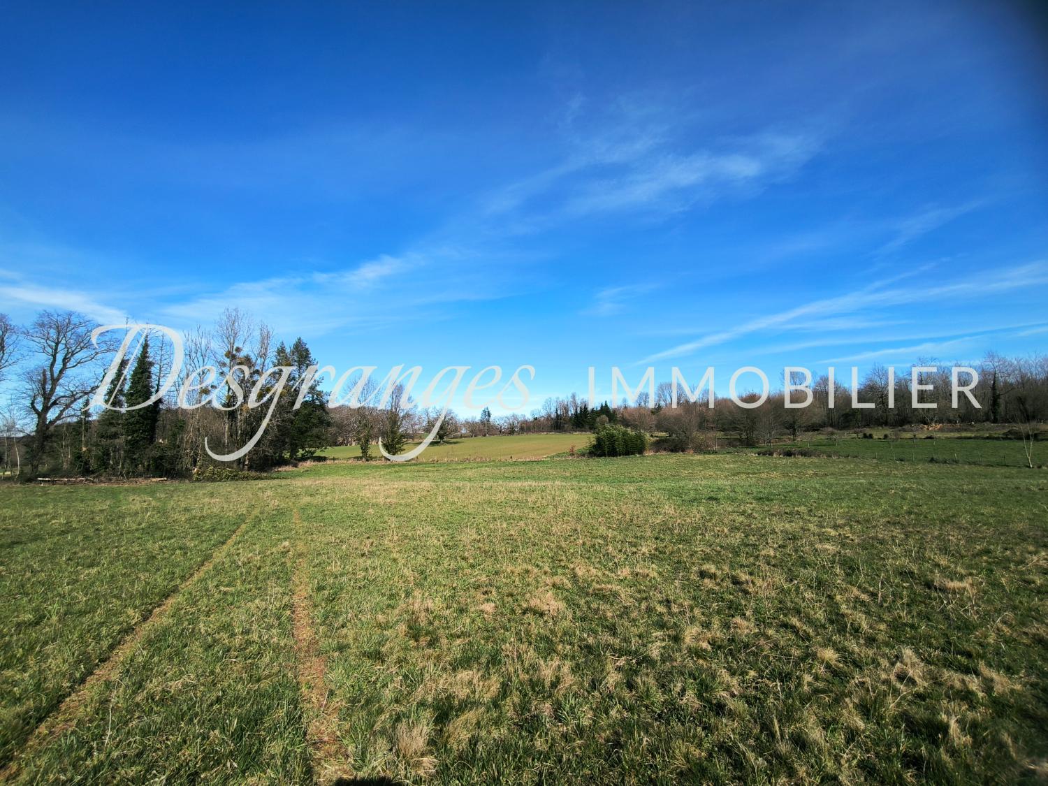  à vendre terrain à bâtir Payzac Dordogne 1