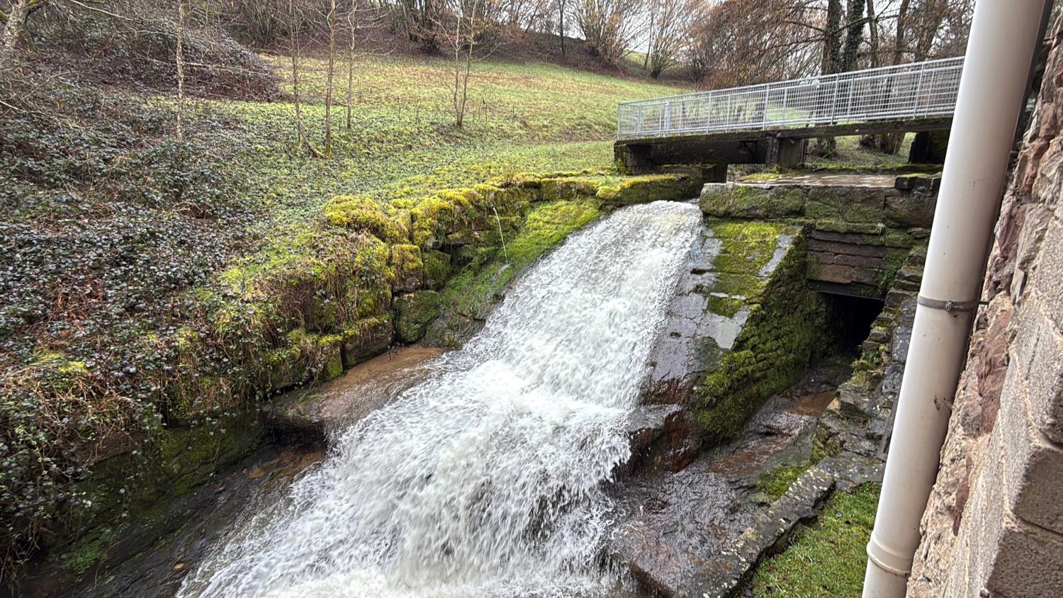  à vendre gîtes/ chambres d'hôtes Viviers-le-Gras Vosges 5