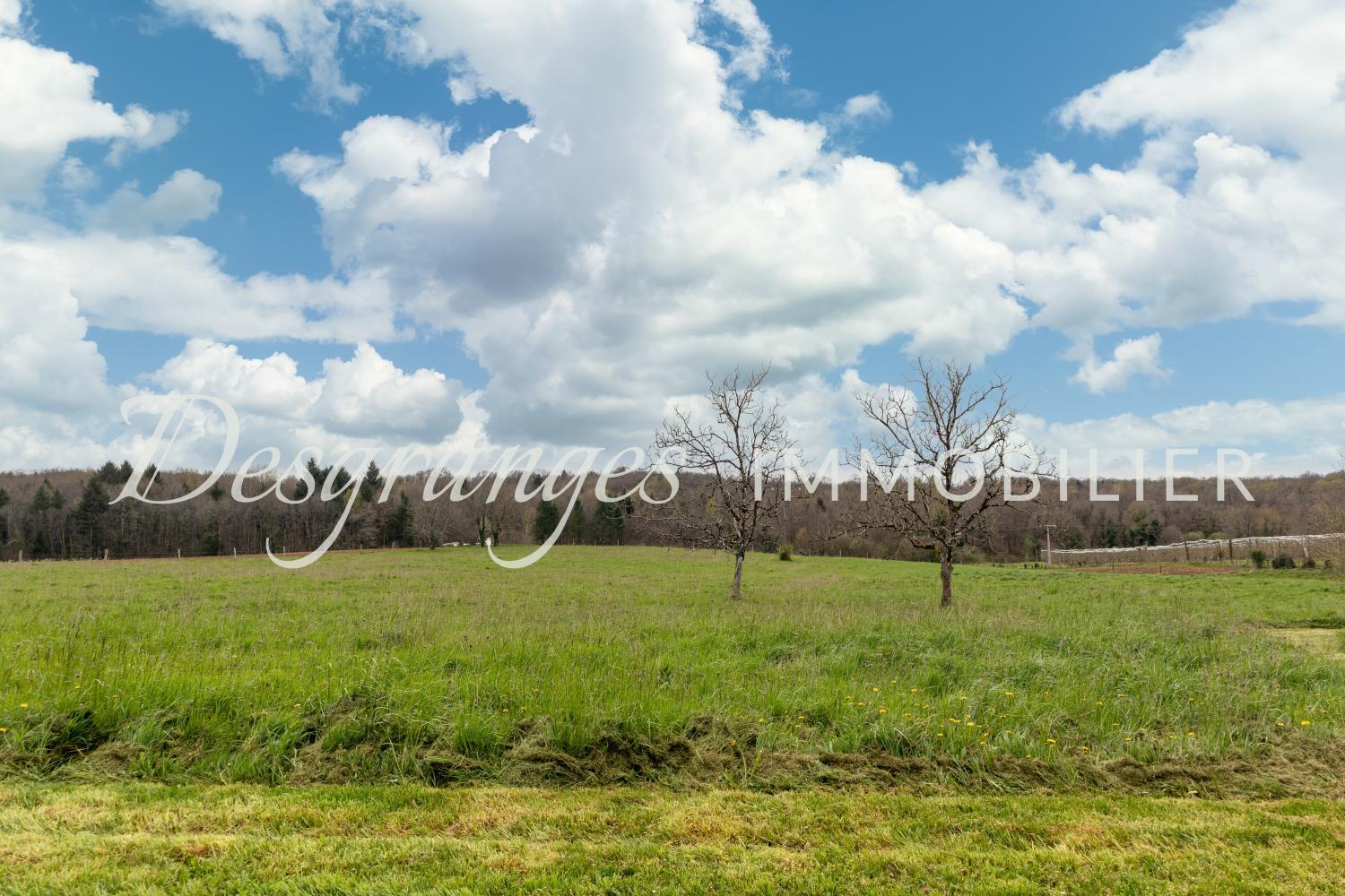  à vendre propriété Savignac-Lédrier Dordogne 17