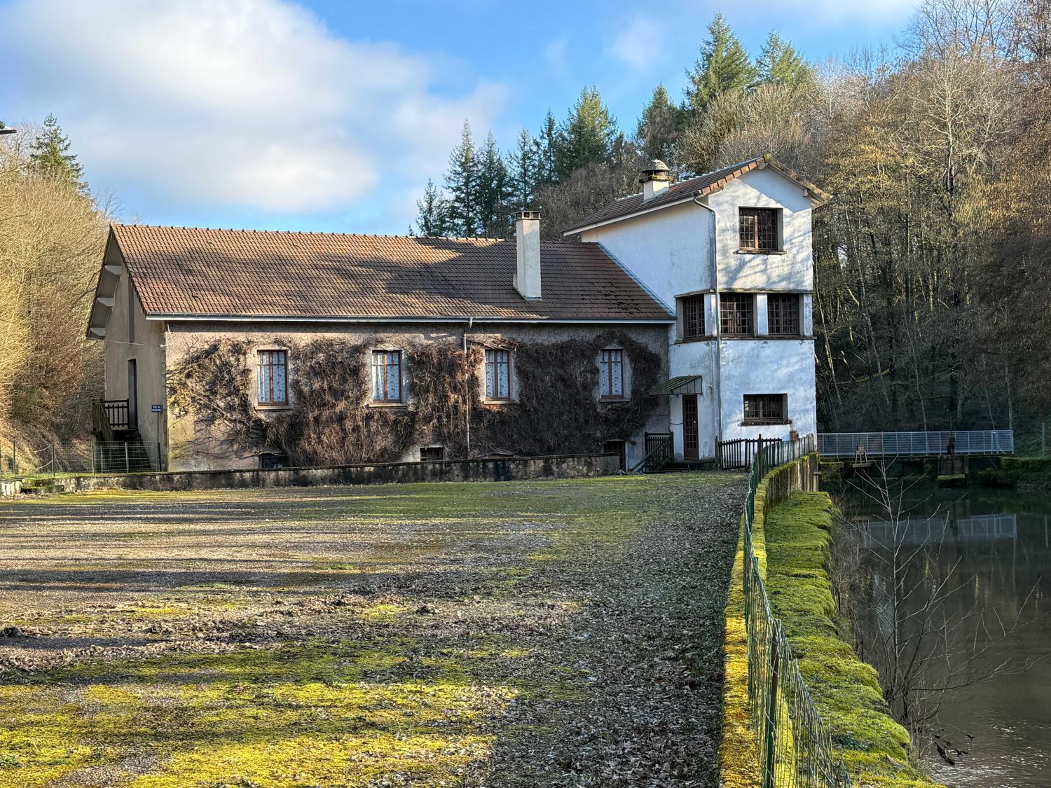  à vendre gîtes/ chambres d'hôtes Viviers-le-Gras Vosges 2