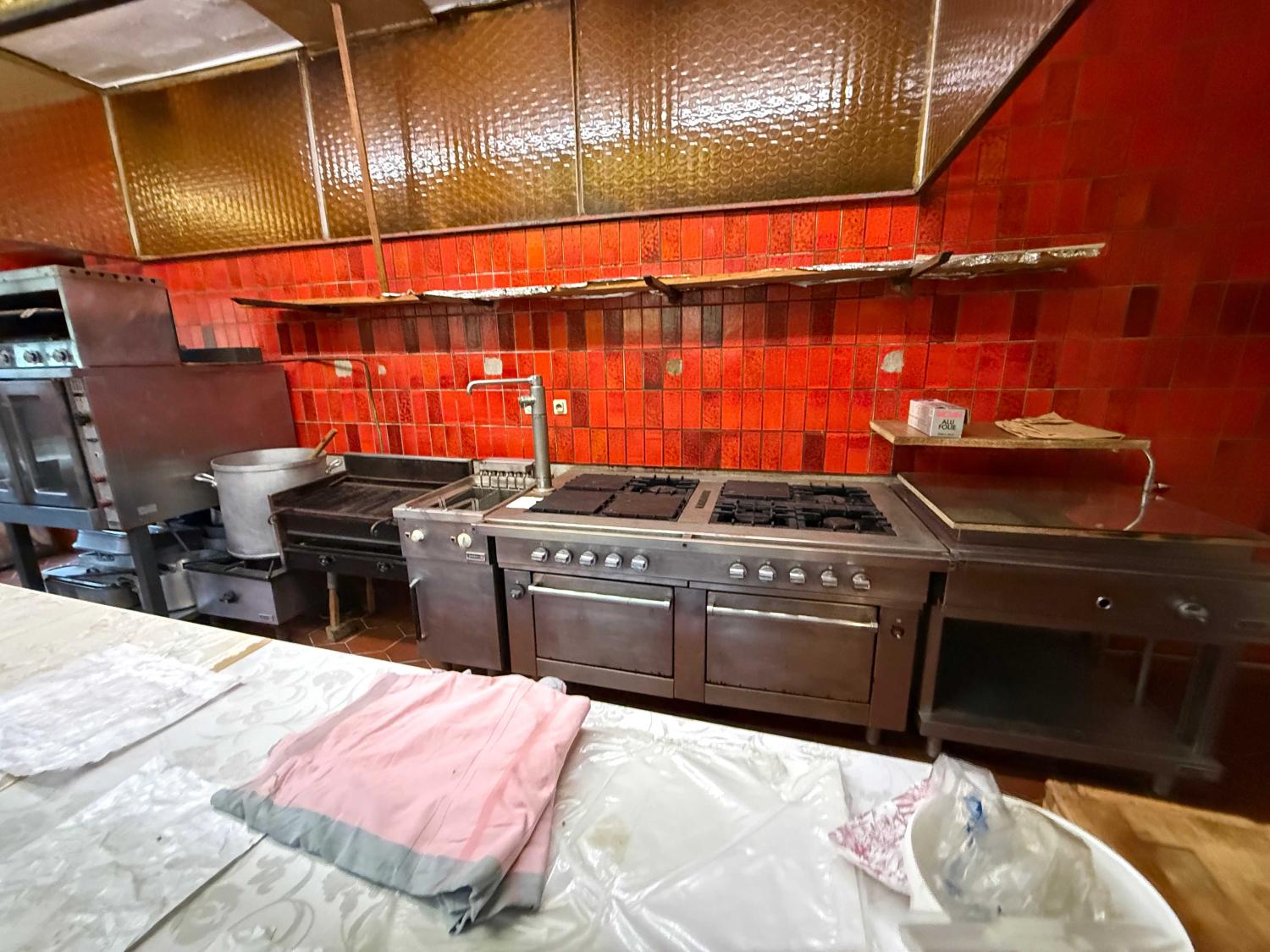  à vendre gîtes/ chambres d'hôtes Viviers-le-Gras Vosges 24